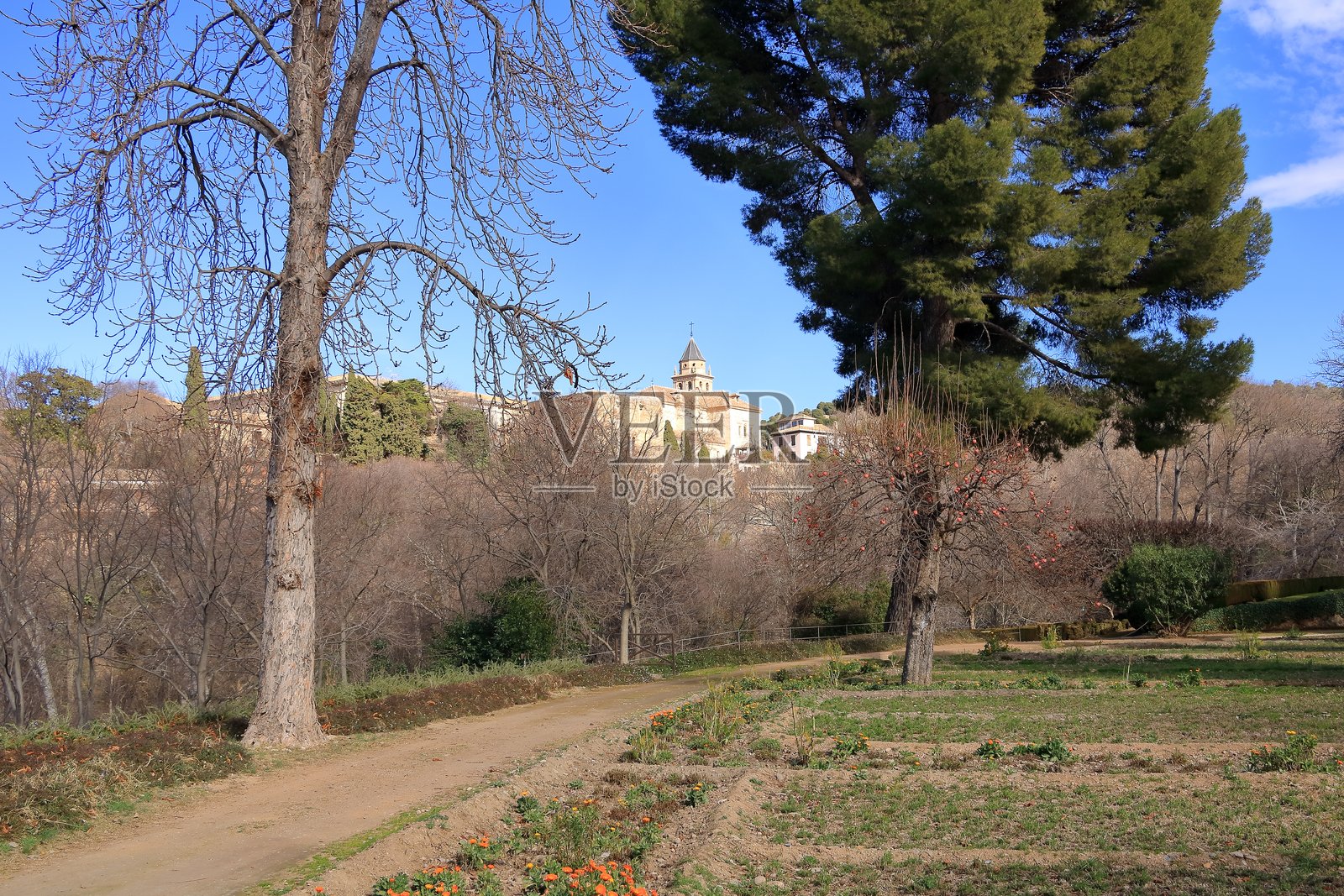 格拉纳达安达卢西亚的阿尔罕布拉宫圣玛丽亚·德·恩卡纳西翁教堂的景观照片摄影图片