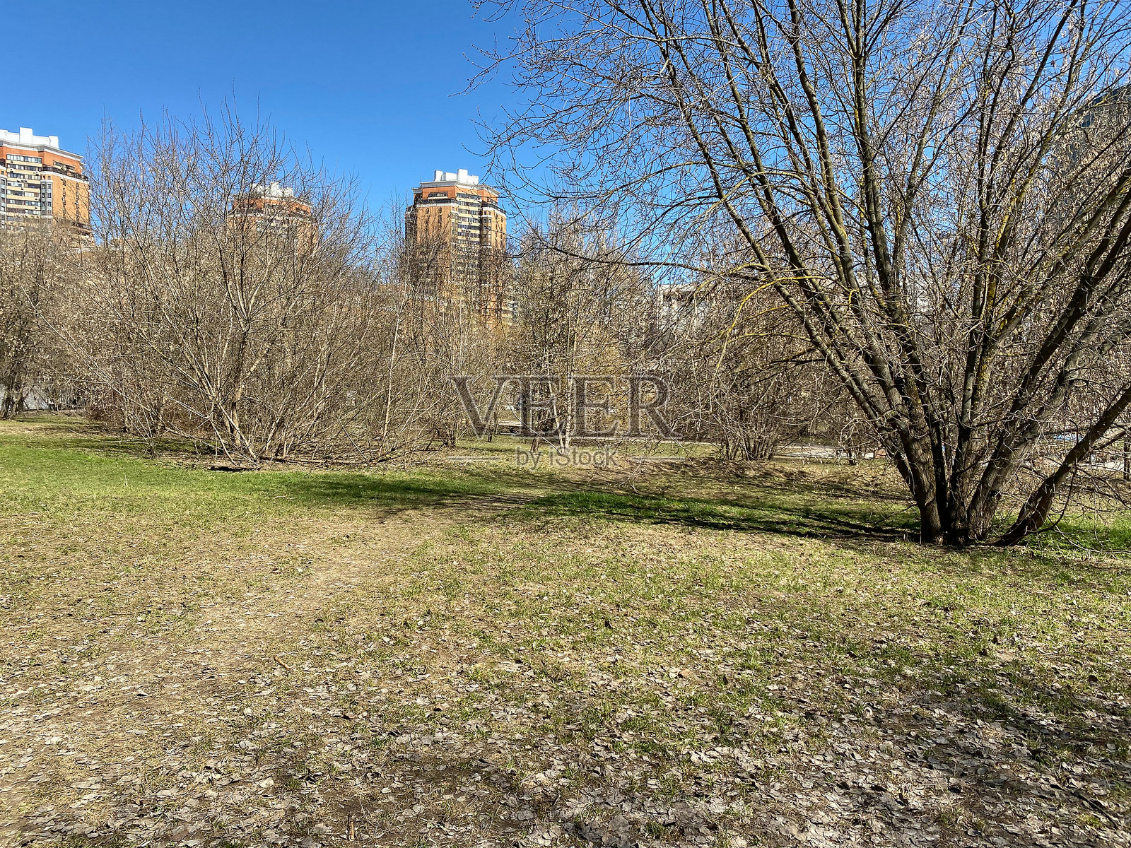 阳光明媚的干燥春天城市公园照片摄影图片