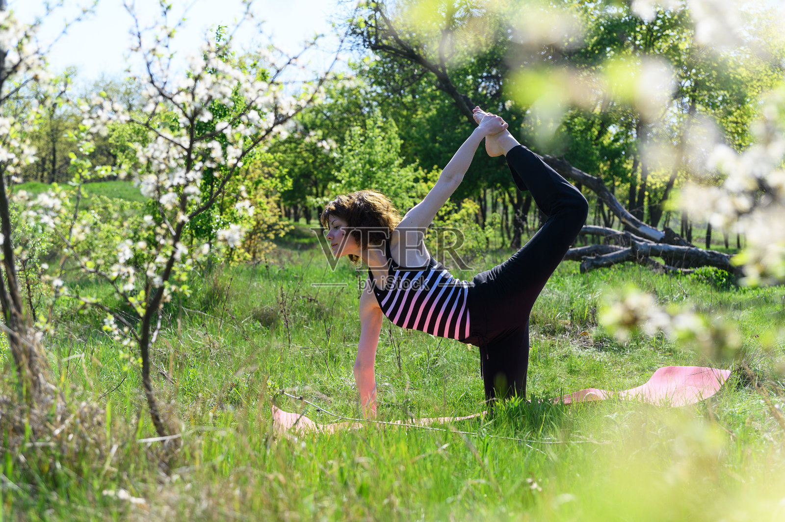 女人在盛开的春季花园中练习甘蔗式瑜伽。照片摄影图片