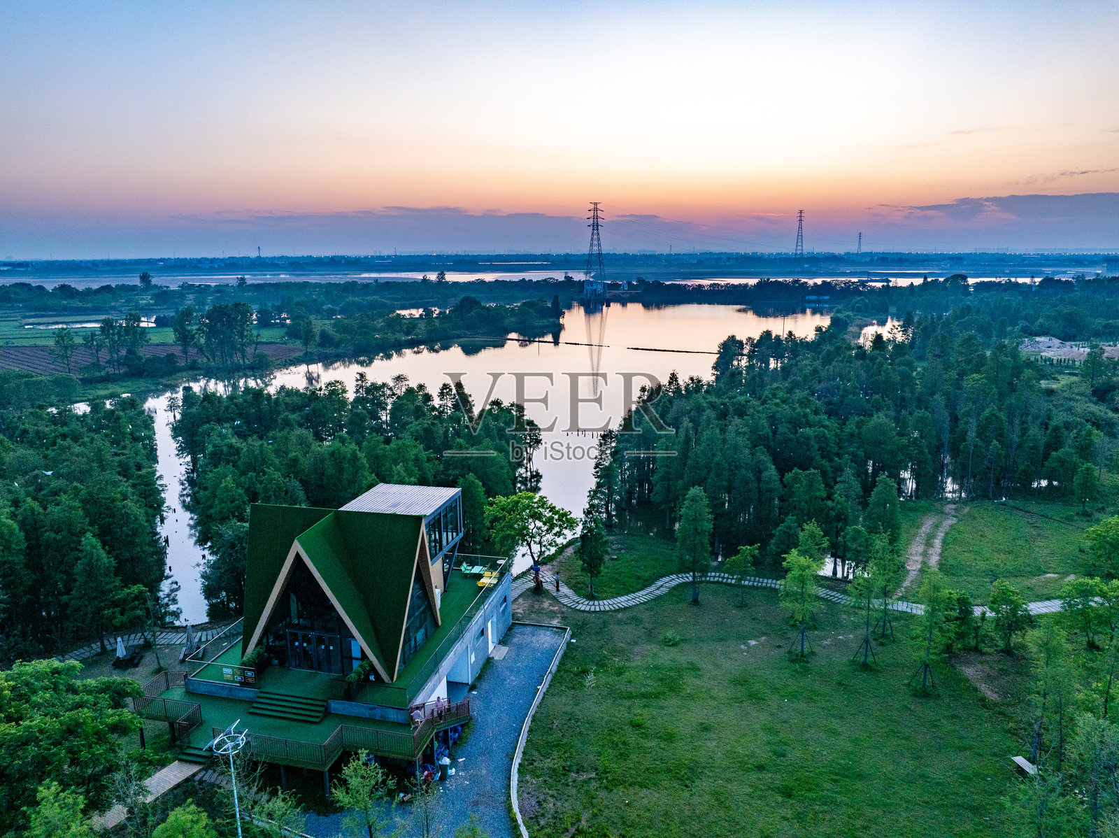 日落时分的树林中的白鹭照片摄影图片