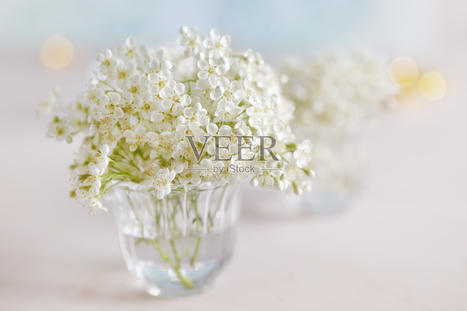 小白花束放在玻璃花瓶中照片摄影图片