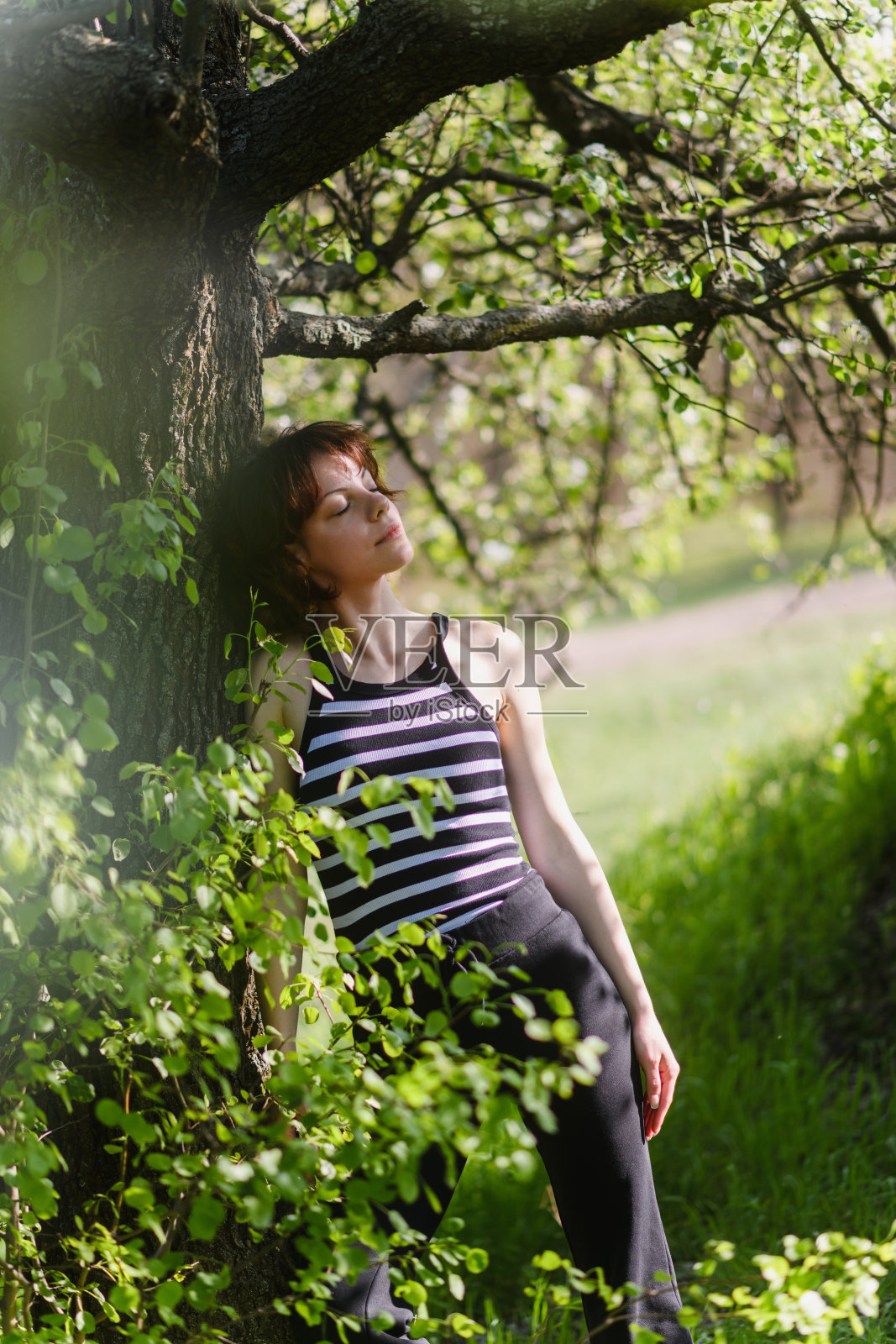 年轻女性在阳光明媚的春季森林中靠树放松。照片摄影图片
