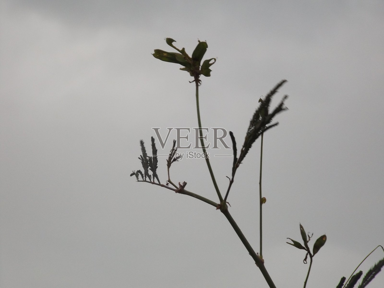 光影艺术摄影照片摄影图片