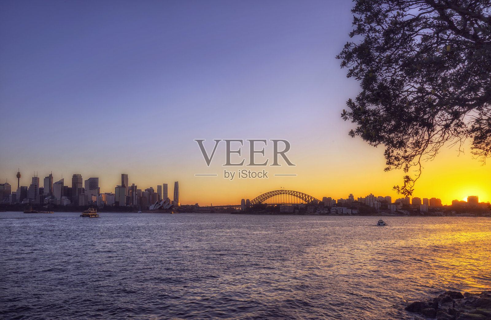 悉尼克雷莫恩角分支日落CBD景观照片摄影图片