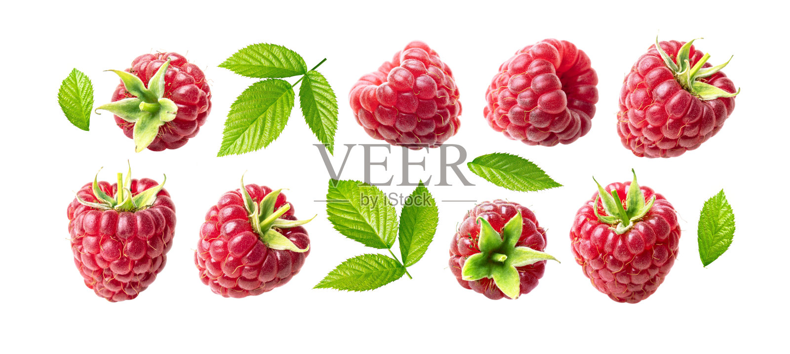 带叶子的覆盆子。照片摄影图片