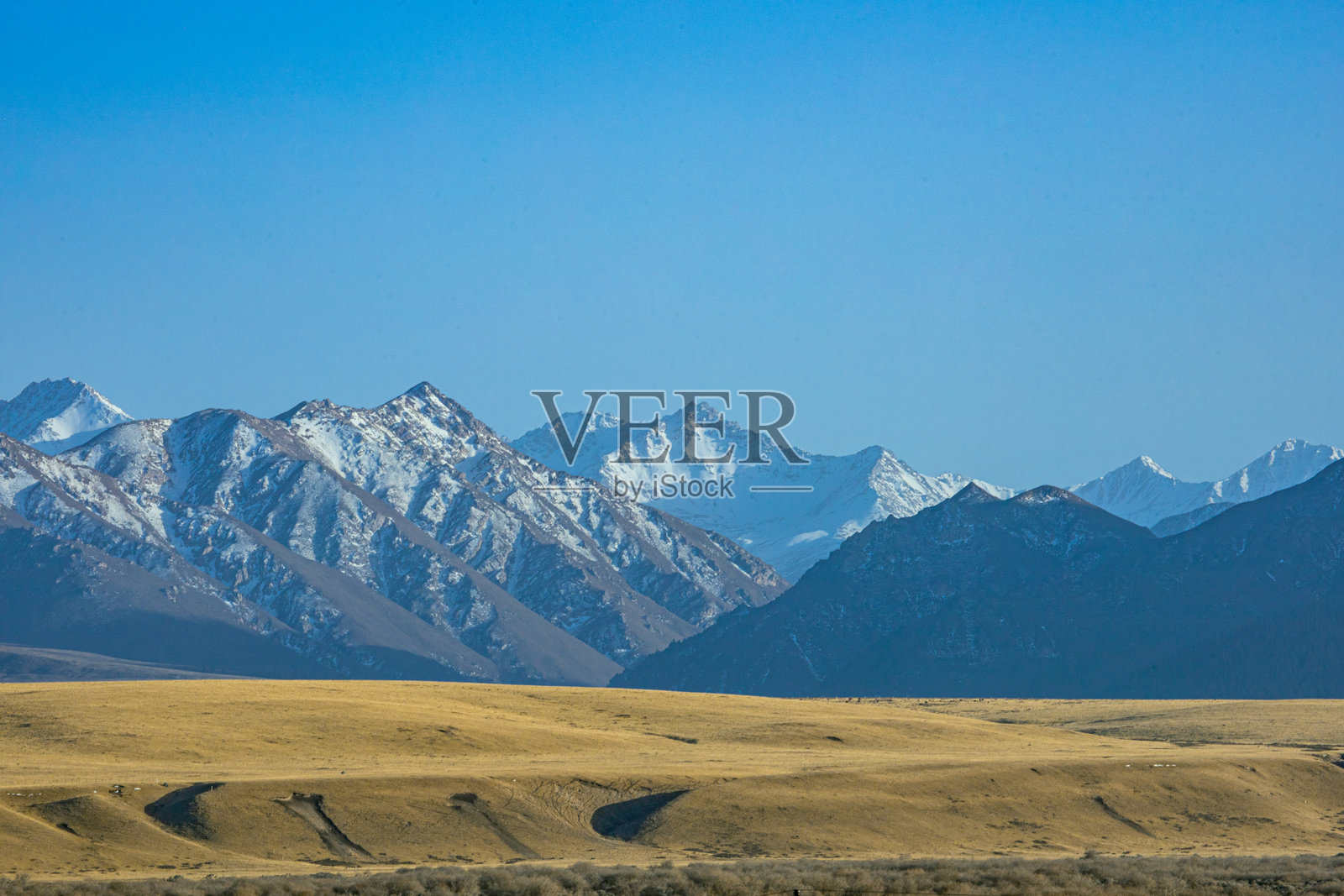 甘肃省张掖市山丹军马场-祁连山的雪山和草甸照片摄影图片