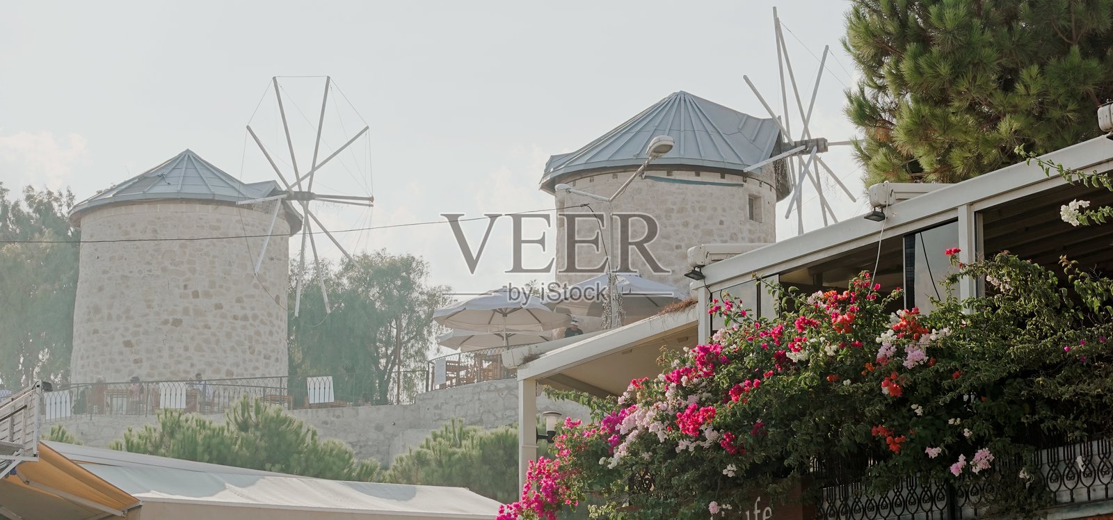 风车历史风景白天多彩花朵景观云朵照片摄影图片