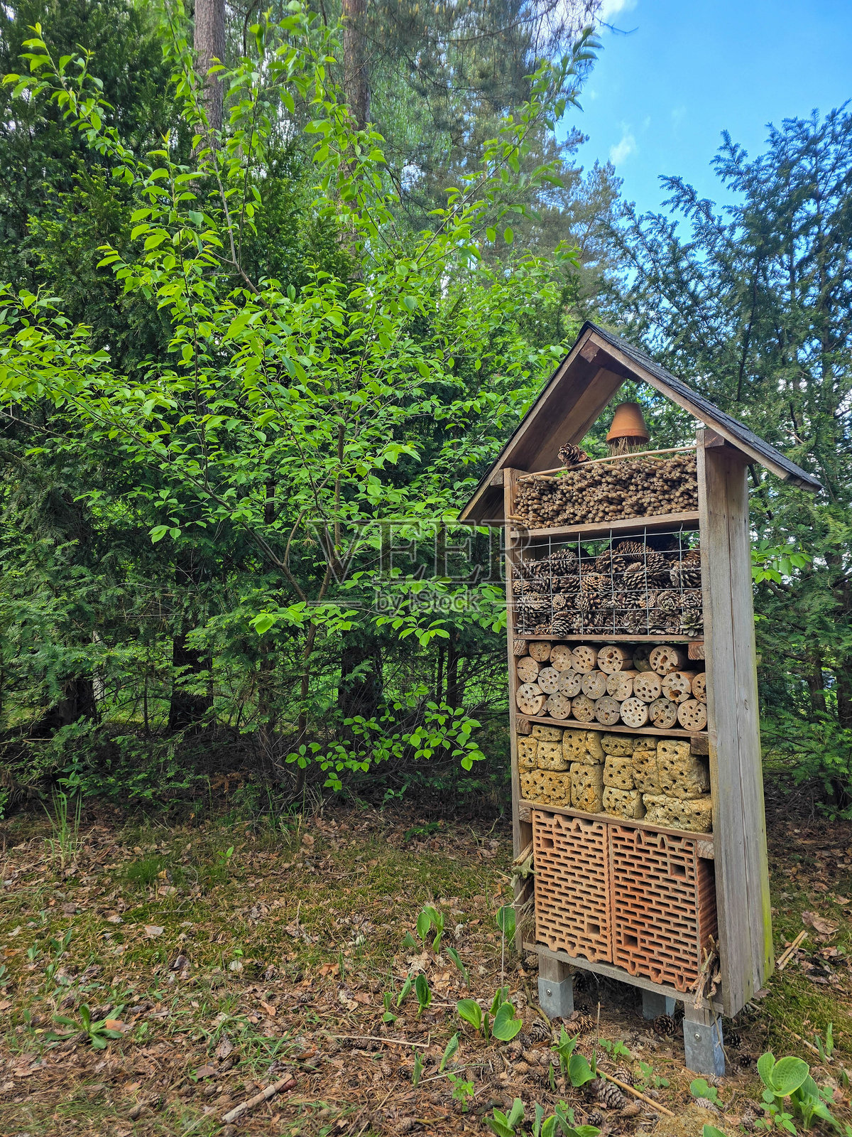 自然中的昆虫旅馆,生态友好的蜜蜂和虫子栖息地照片摄影图片