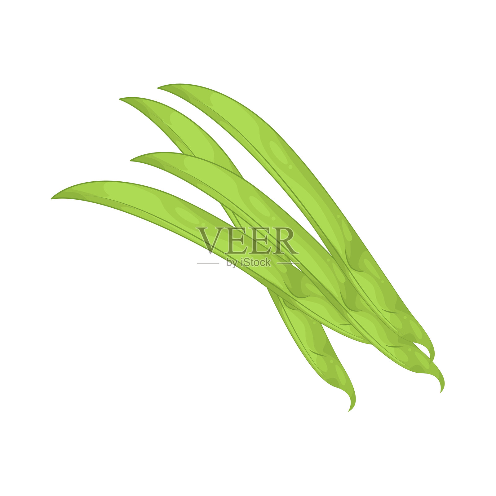 绿豆插画图片素材