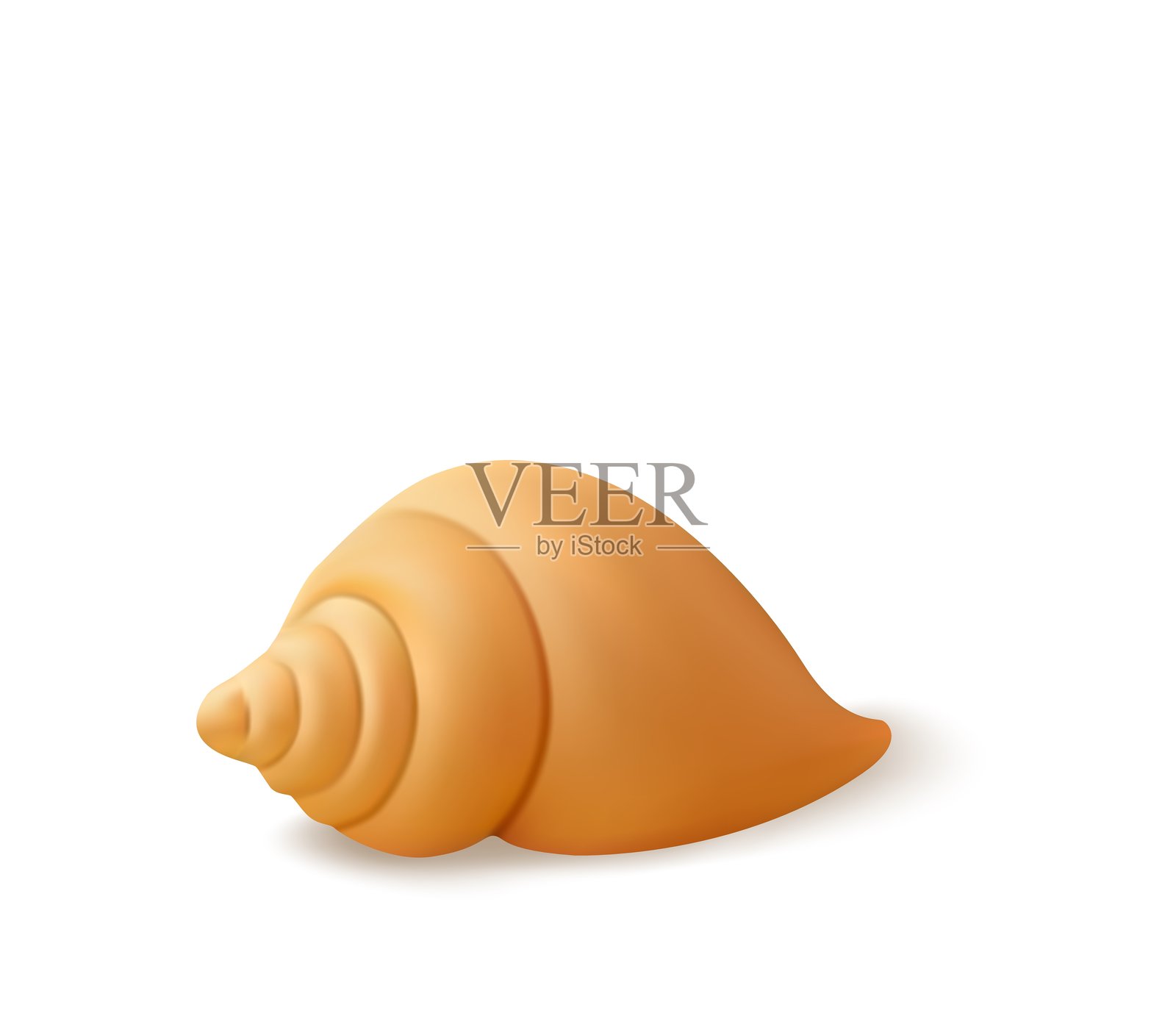 3D贝壳孤立图标。插画图片素材