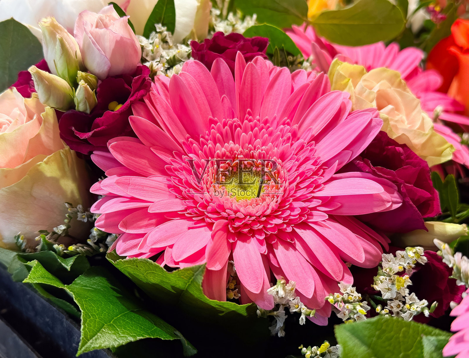 阳光下的鲜艳粉色非洲菊与混合花束照片摄影图片