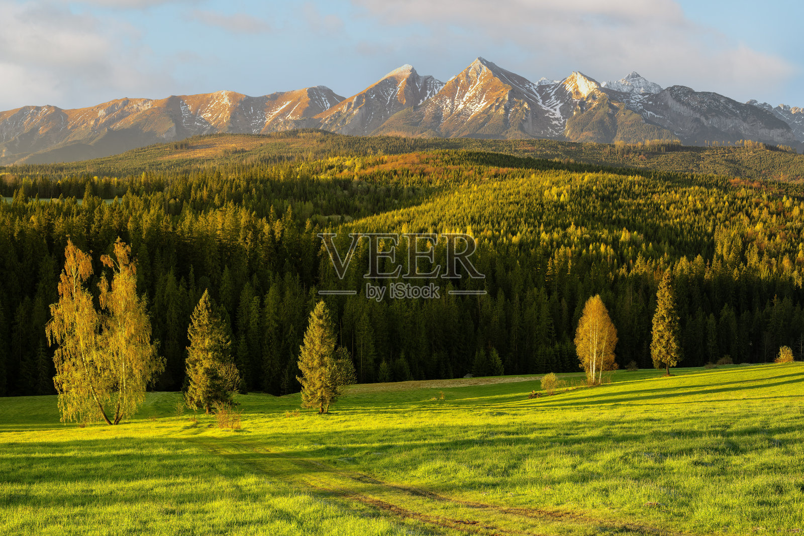 从波兰一侧的拉普尚卡俯瞰塔特拉山的风景如画的景观照片摄影图片