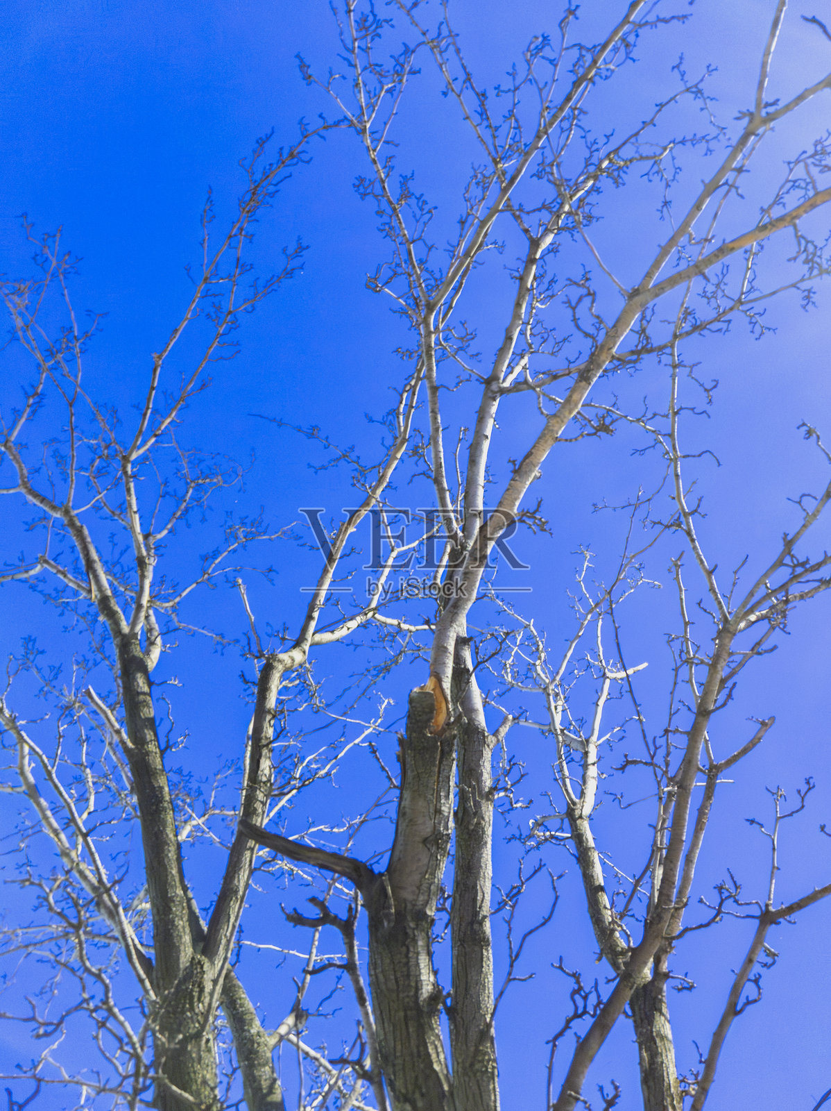 纽约市,纽约州,美国照片摄影图片