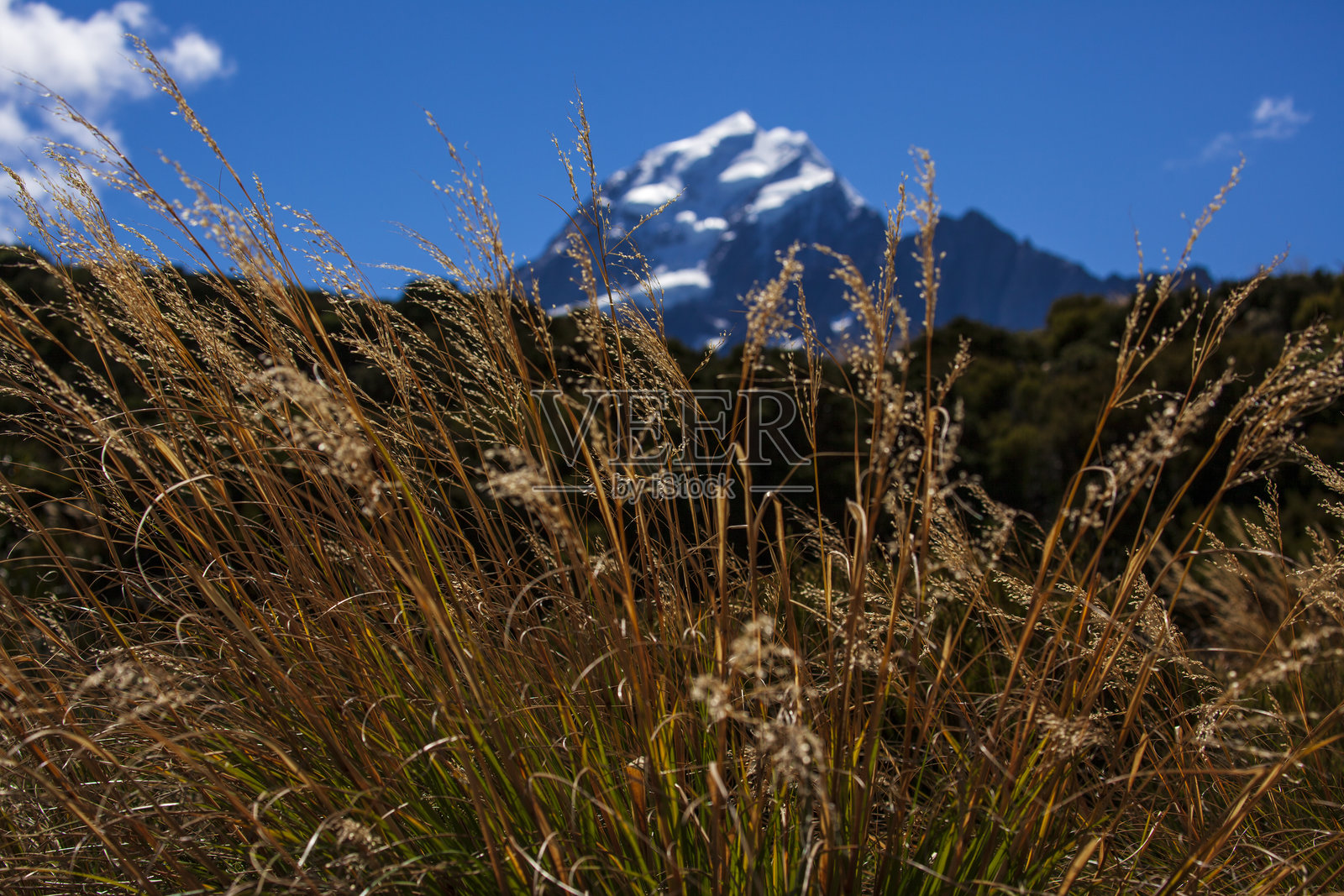 新西兰国家公园的库克山照片摄影图片
