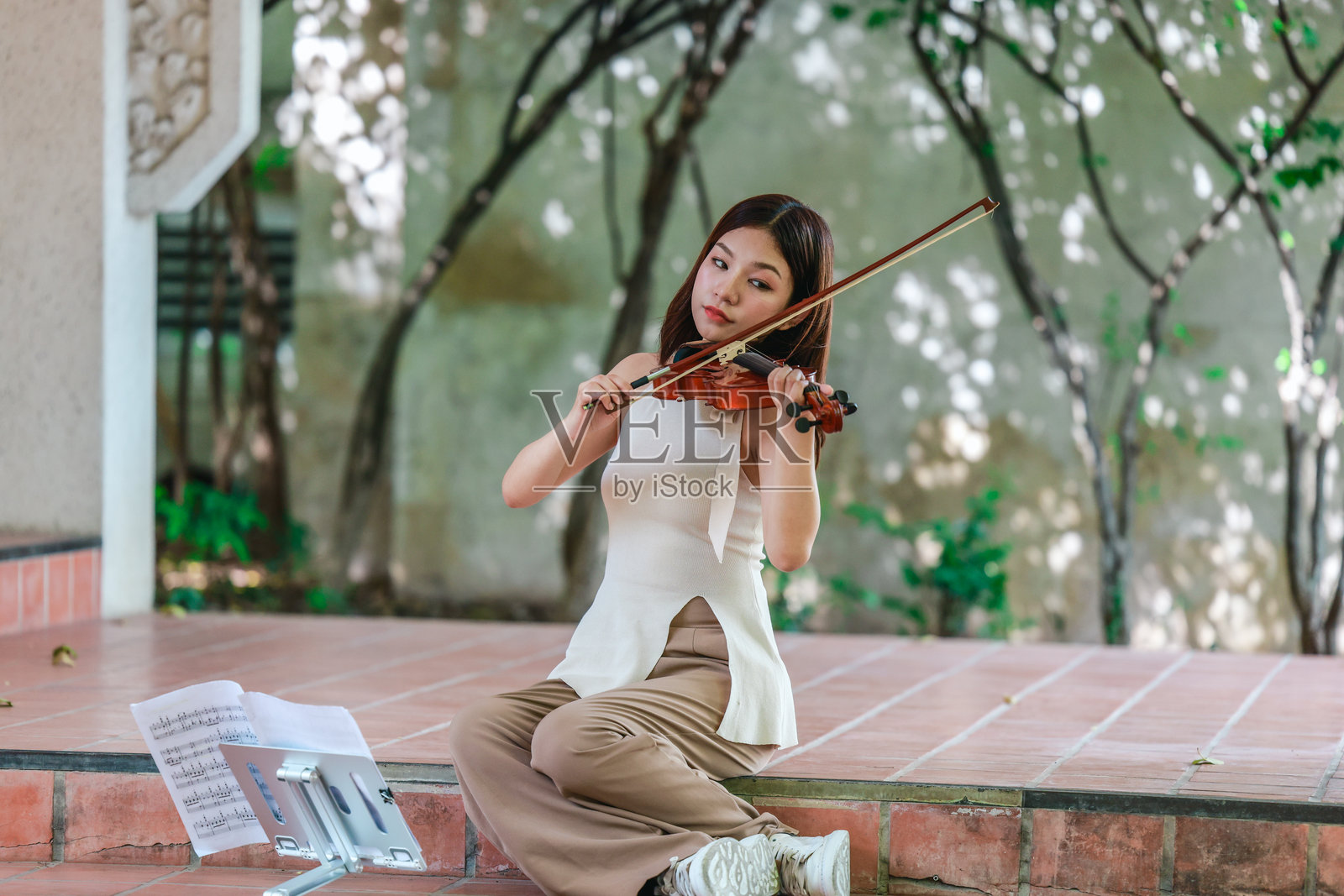 公园里的小提琴练习照片摄影图片