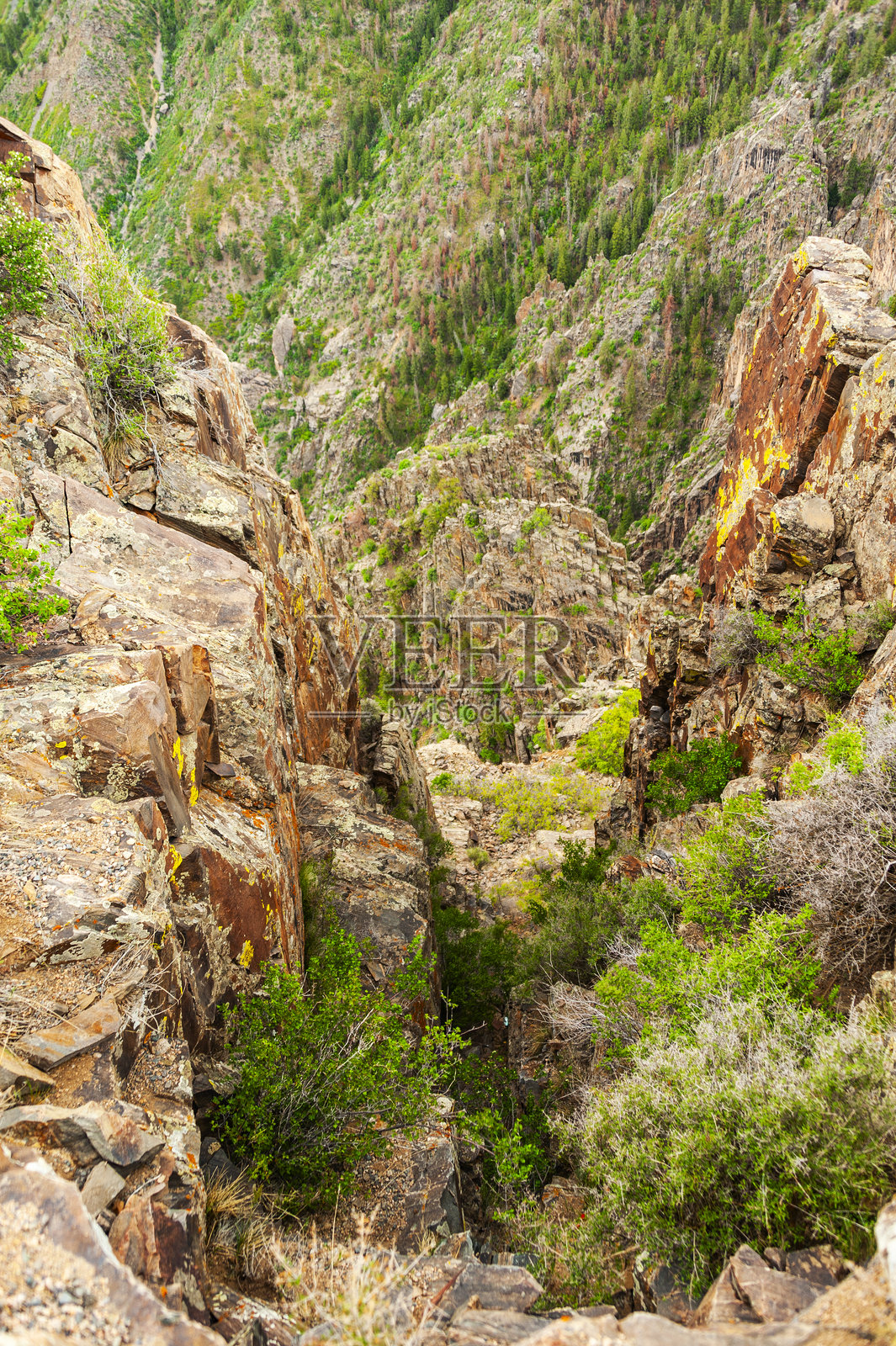 冈尼森黑峡谷国家公园照片摄影图片