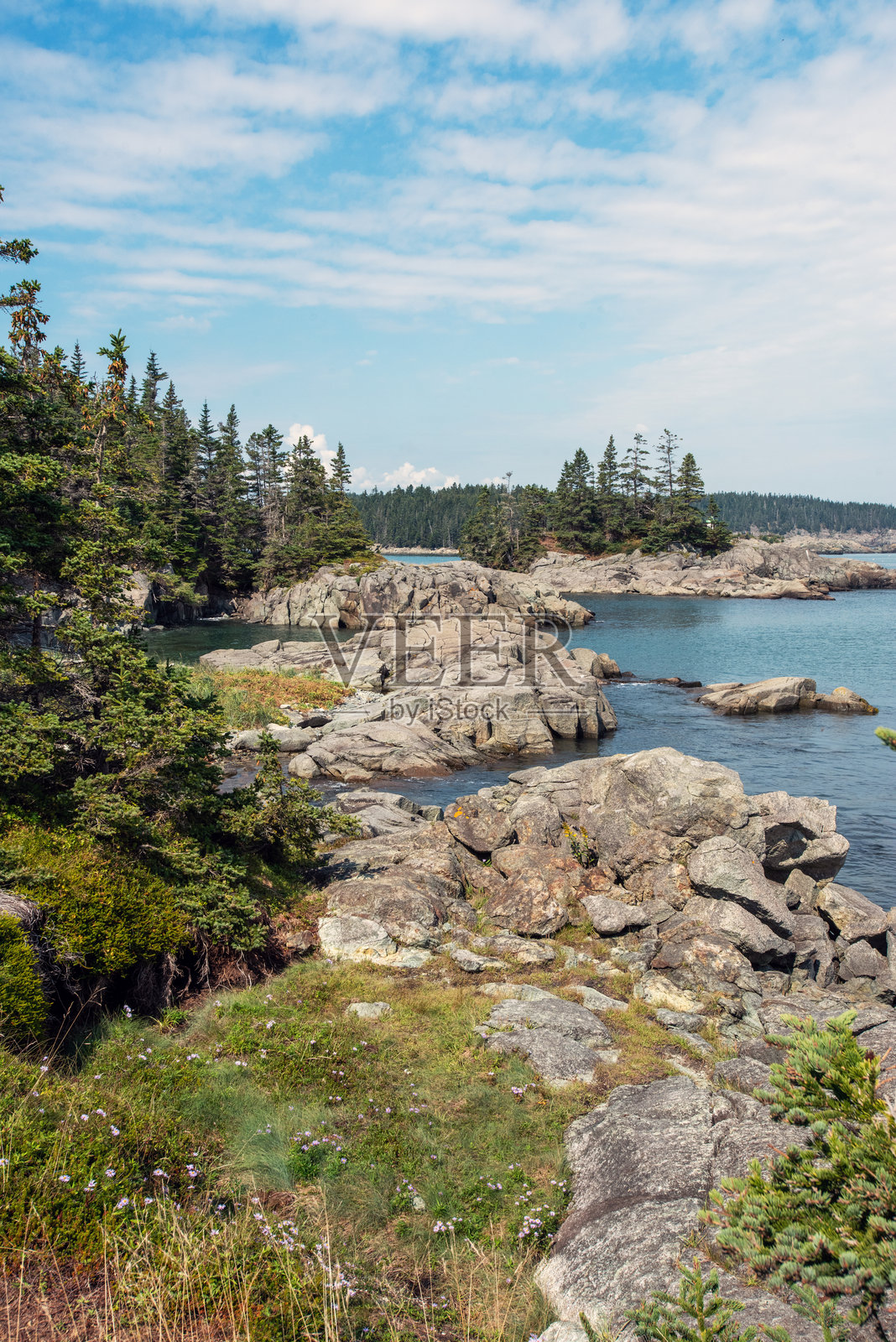 从卡特勒的西头保护小径可以看到缅因州东海岸的壮丽景色。照片摄影图片