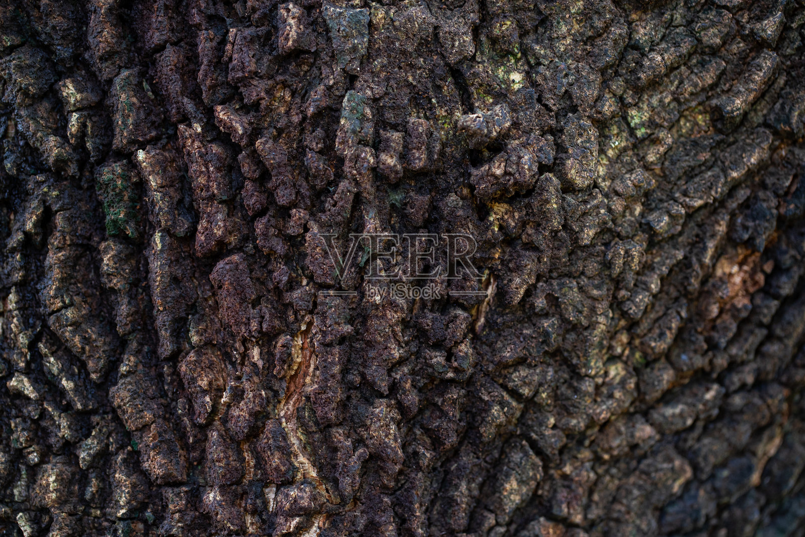 深色木皮纹理特写照片摄影图片