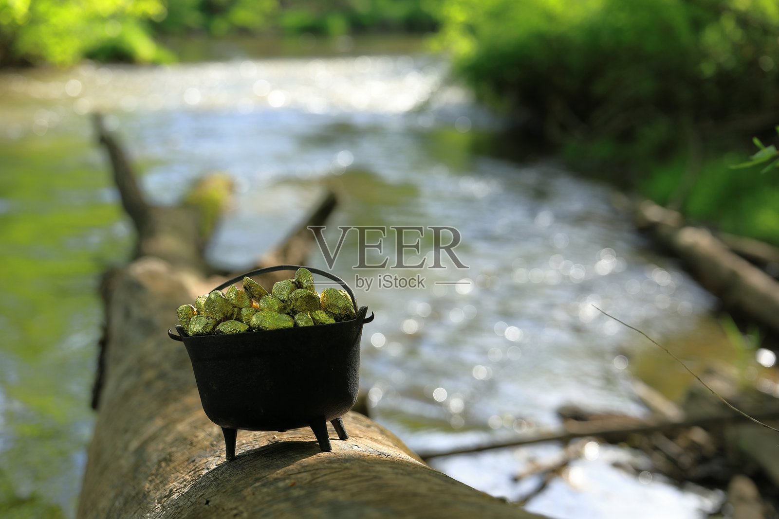 小精灵的金锅在森林小溪上倒下的树木上反射阳光照片摄影图片