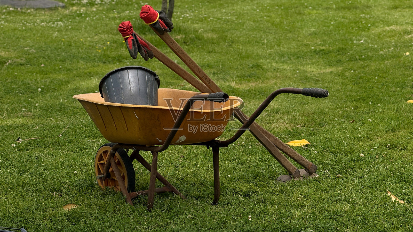 绿色草坪上的园艺工具和手推车照片摄影图片