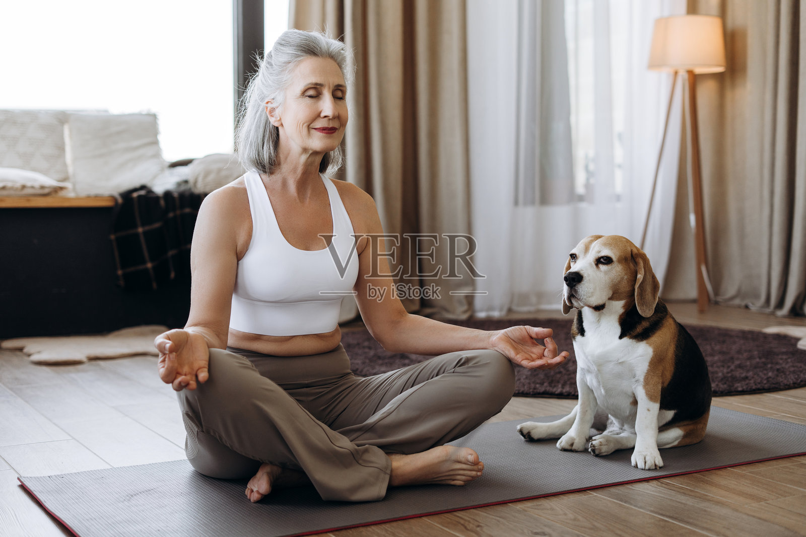 老年女性在家中与比格犬一起练习瑜伽照片摄影图片