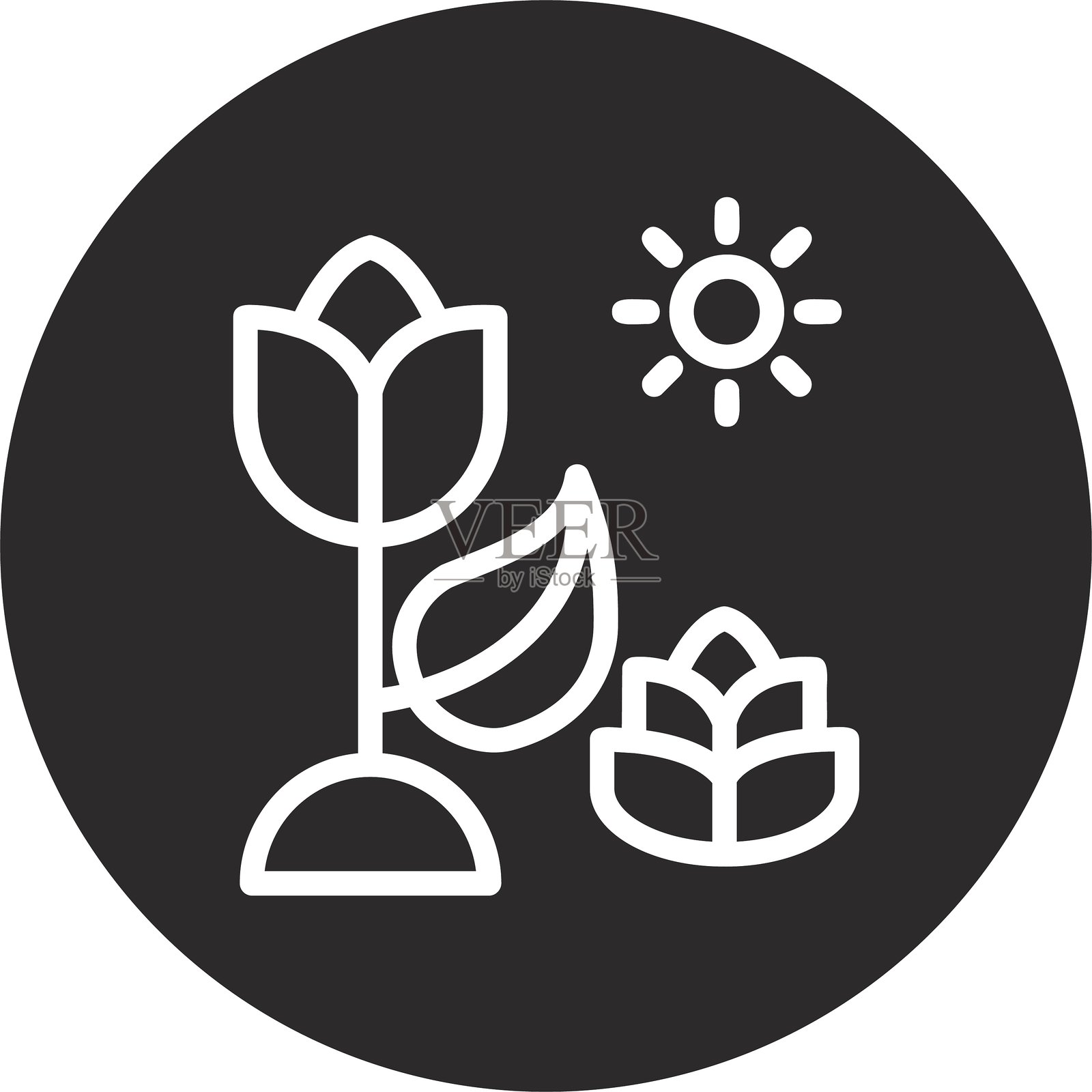 自然光辉倒圆圈黑色插画图片素材