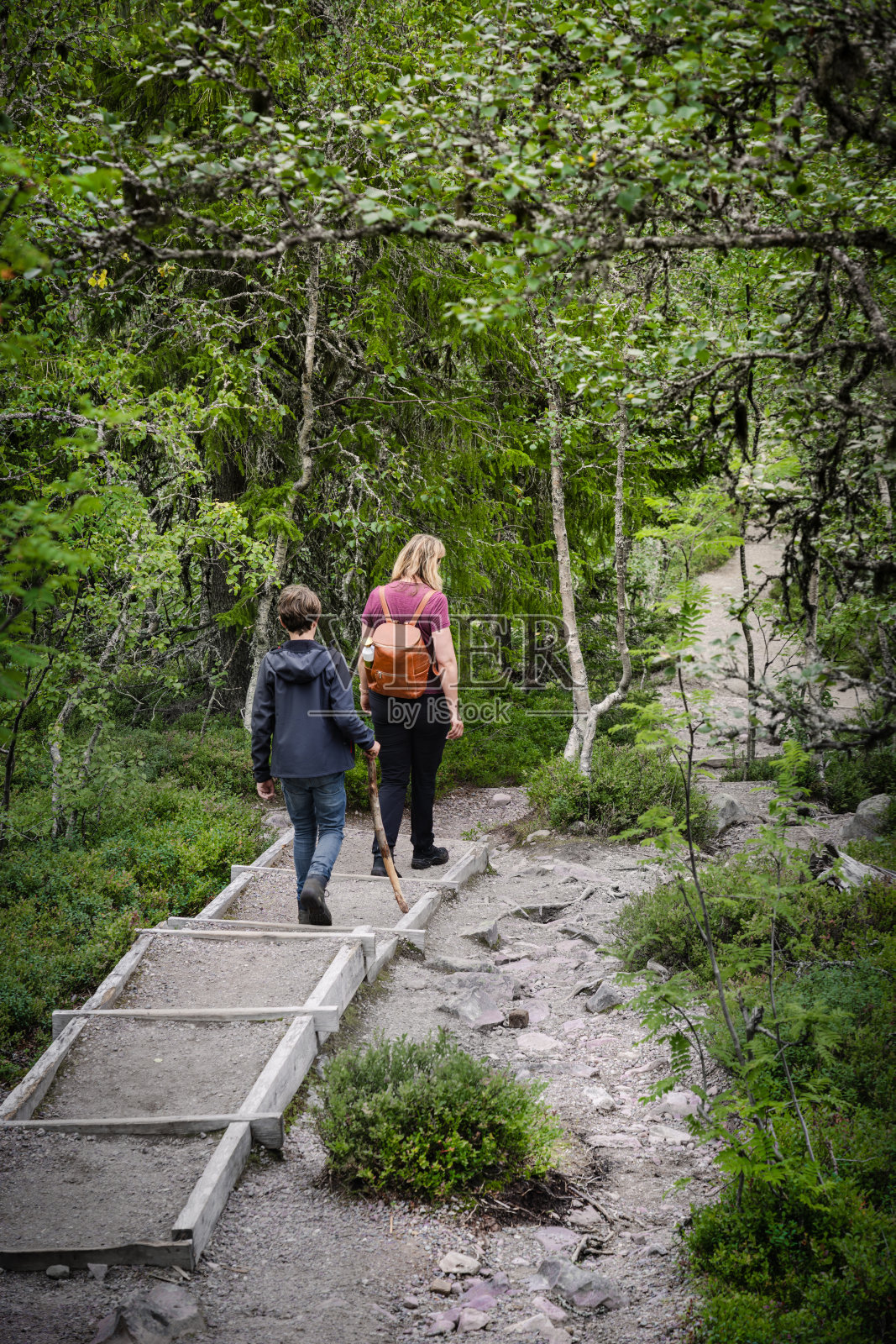 母亲和儿子在瑞典达拉那的夏季徒步探险假期中探索富卢夫耶特国家公园照片摄影图片