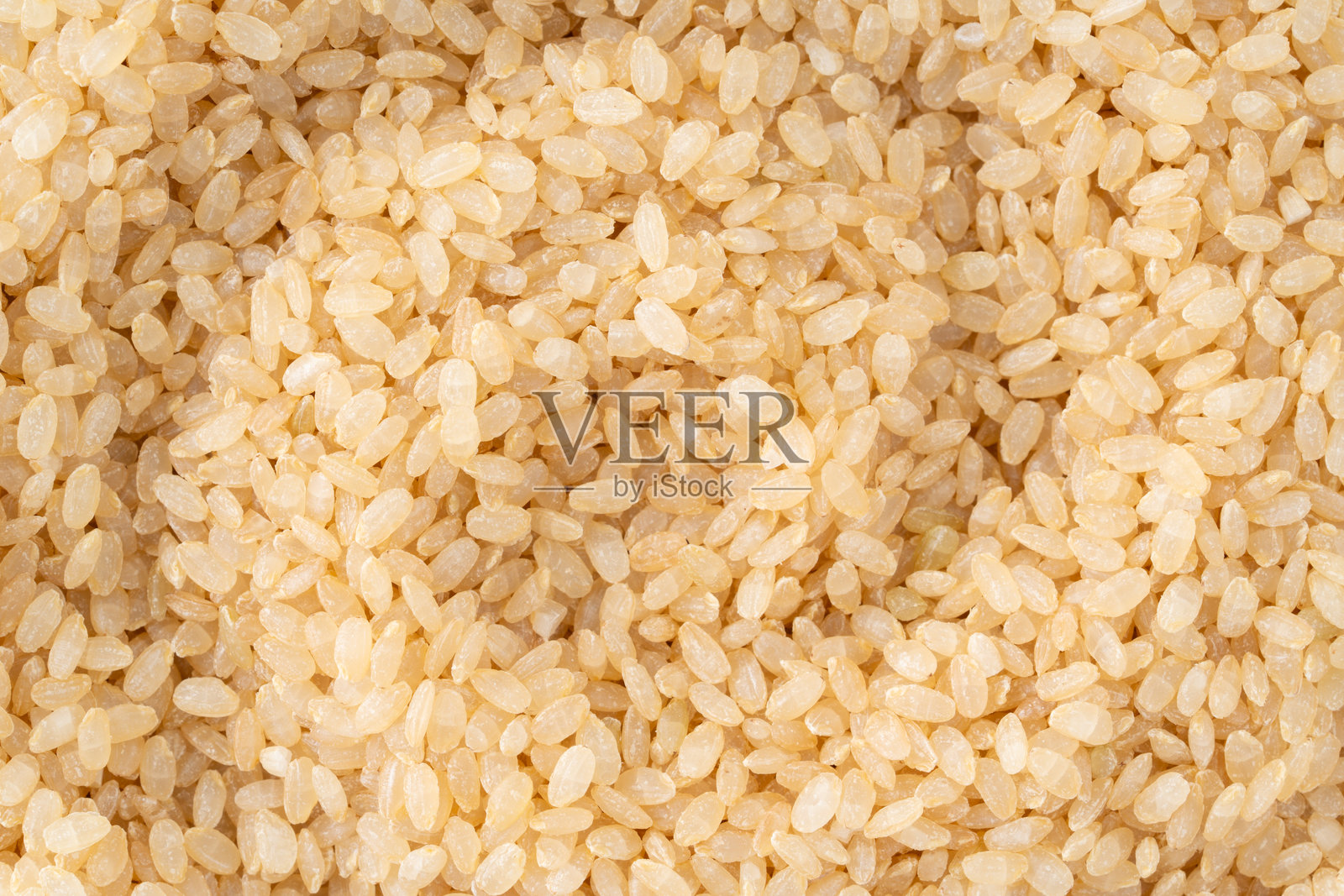 发芽的棕色大米特写(生米)照片摄影图片