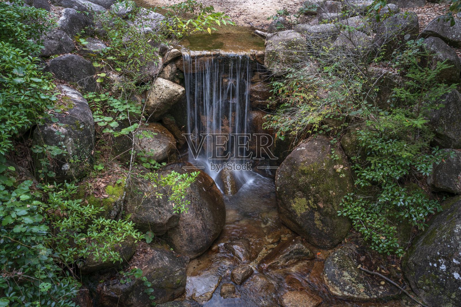 宫岛的红叶谷公园内的瀑布,秋天的日子,位于日本广岛县八塩市。照片摄影图片