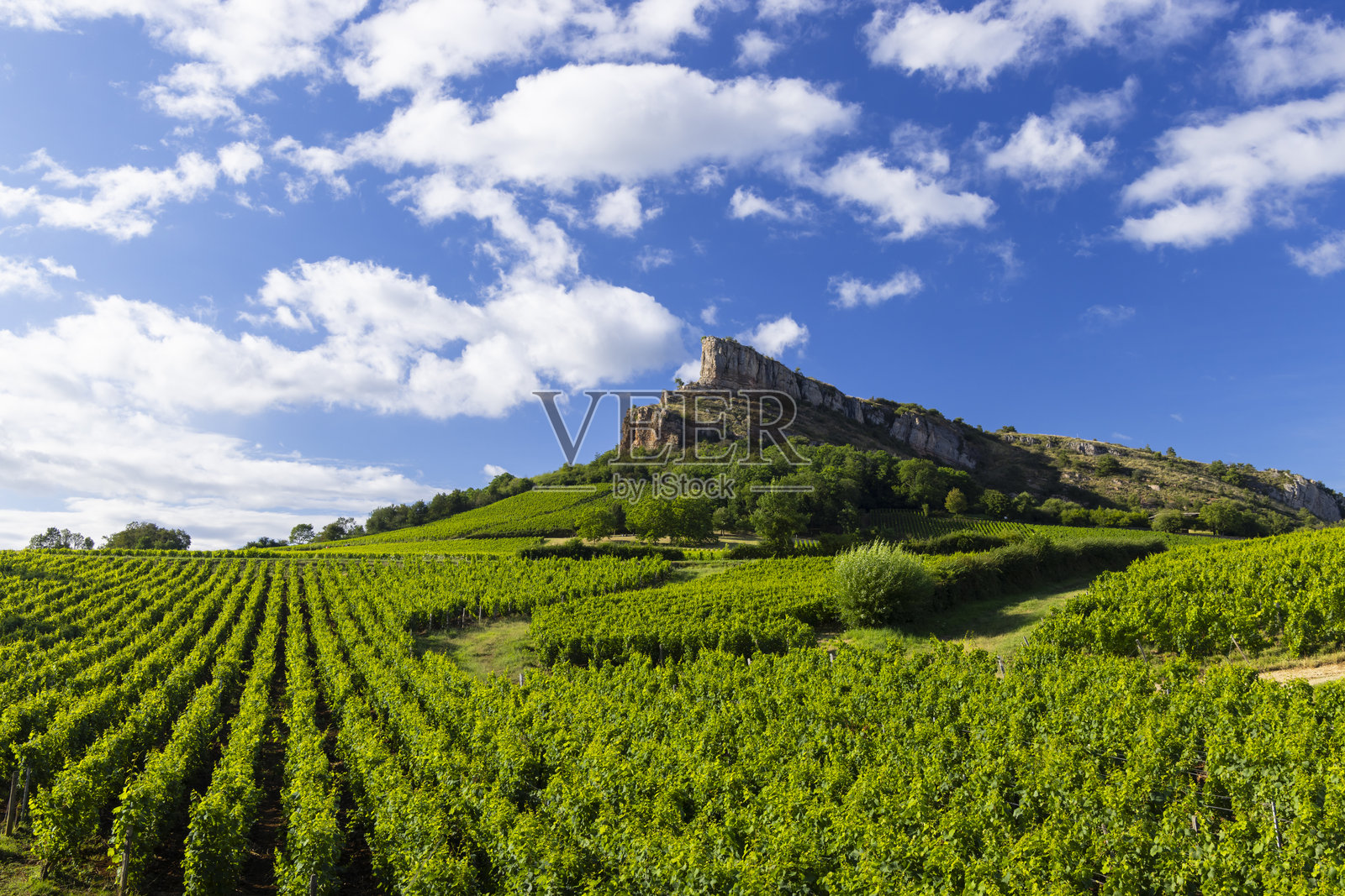 索吕特岩与葡萄园,法国勃艮第,索吕特-普伊。照片摄影图片