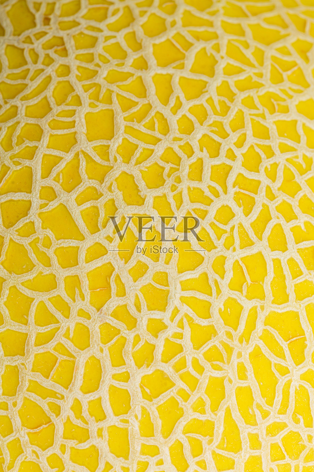 蜜瓜皮的特写宏观纹理,明亮的黄色天然蔬菜纹理,适合设计师背景的蜜瓜皮特写。照片摄影图片