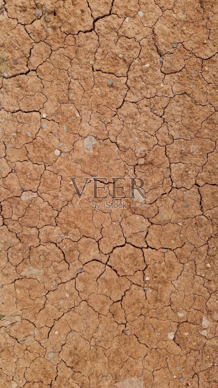 干裂的土地照片摄影图片
