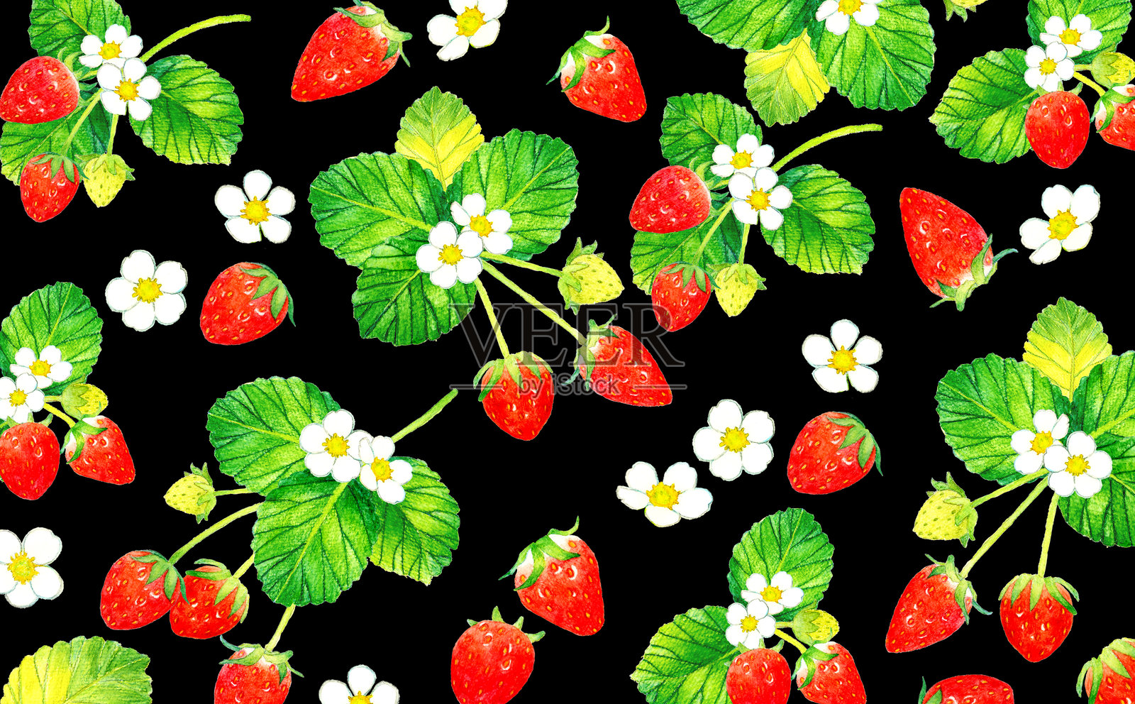 草莓水果背景。手绘水果水彩插图。插画图片素材