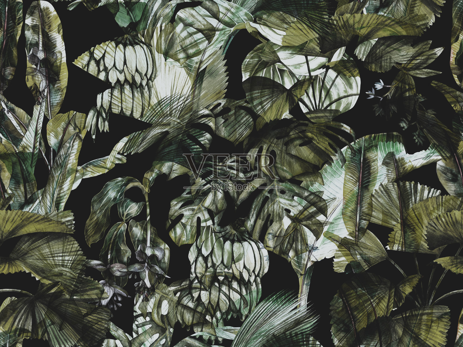 热带无缝图案。植物壁纸,包含丰盛的香蕉叶、瑞士奶酪植物、棕榈叶和热带花卉的植物印花。插画图片素材