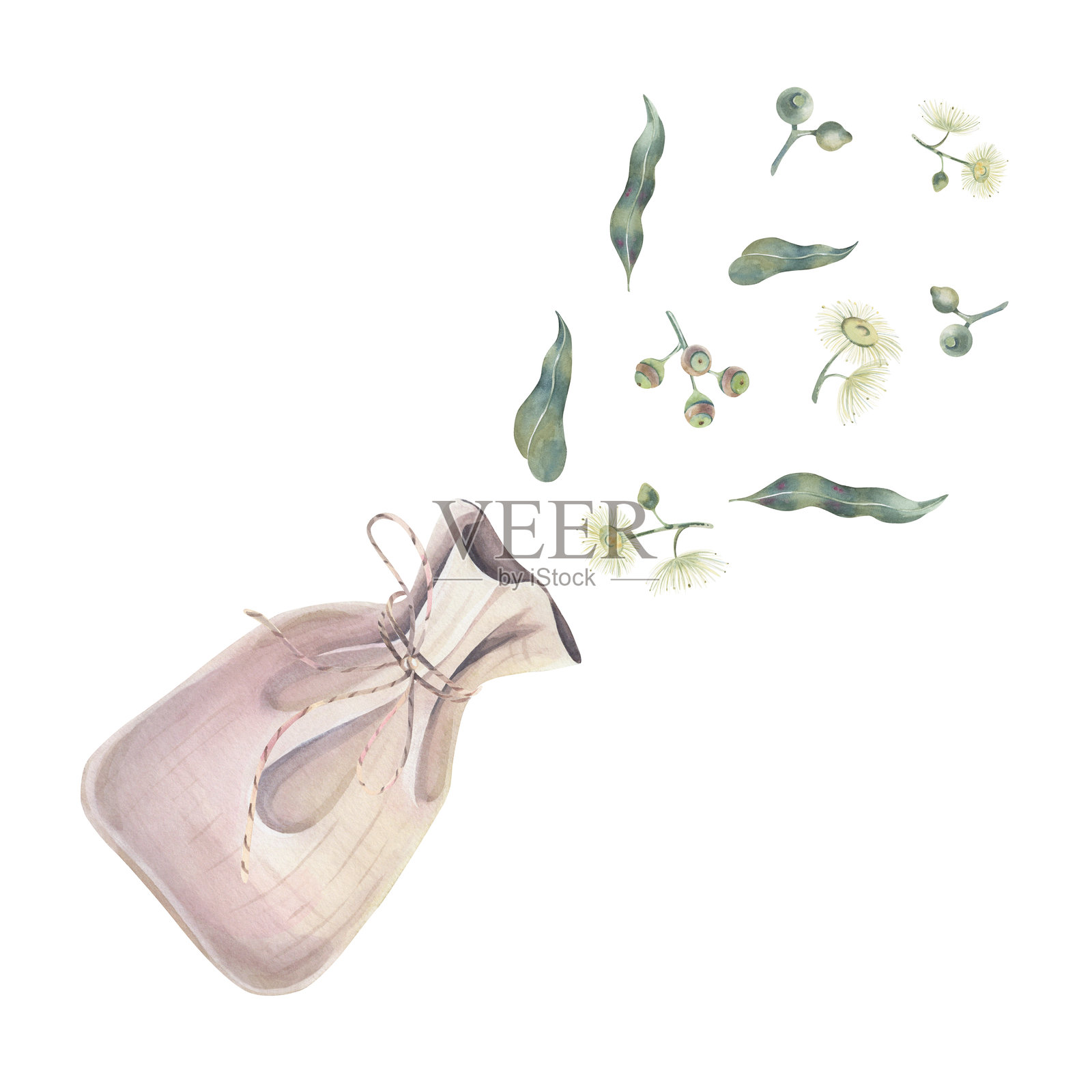 带有桉树的亚麻袋,用精致的绳子绑着,里面有嫩芽、叶子和花朵,水彩画,背景为白色。手绘的药用植物插图,适用于天然化妆品和芳香疗法。插画图片素材