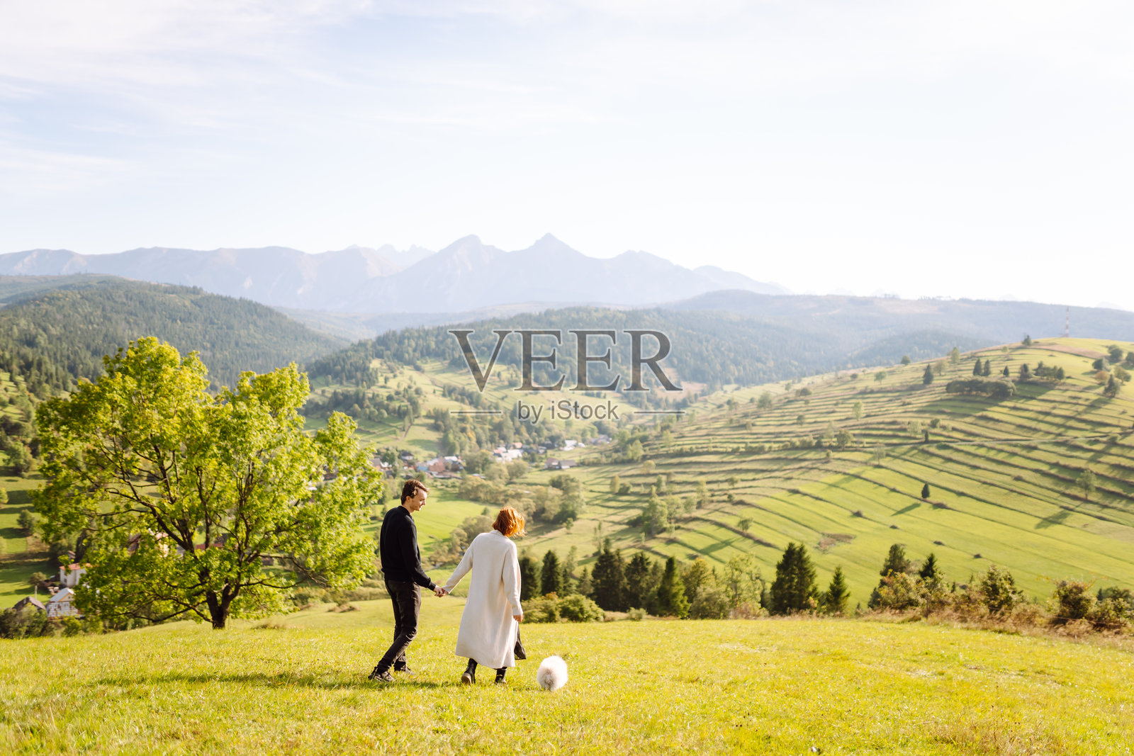 年轻情侣怀抱着他们毛茸茸的白狗,在日落时分享受绿色山丘的乐趣。照片摄影图片