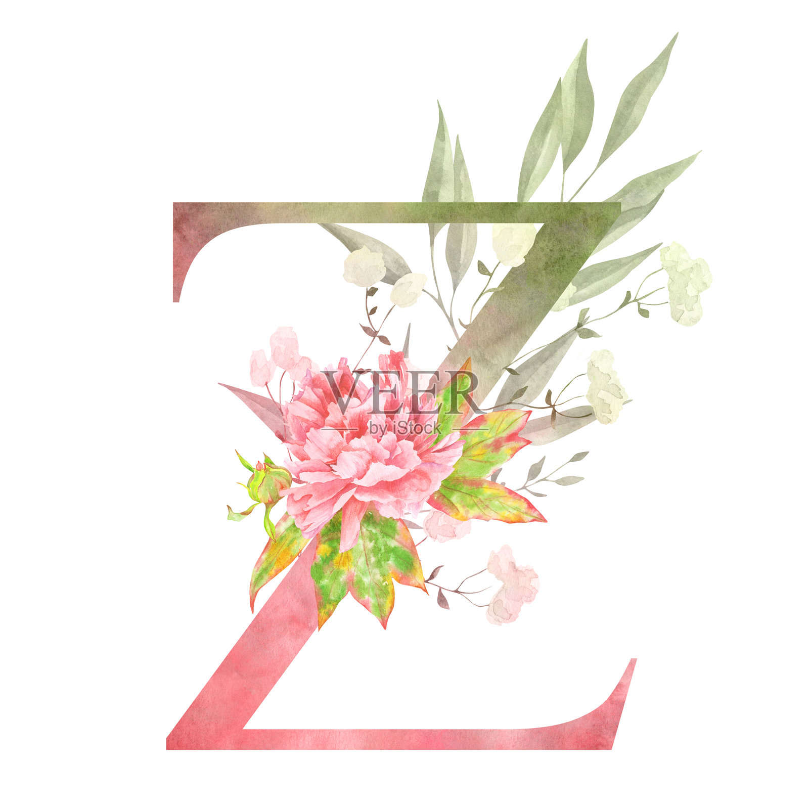 Z - 漂亮的水彩风格花卉字母Z,配有柔和的植物装饰。插画图片素材