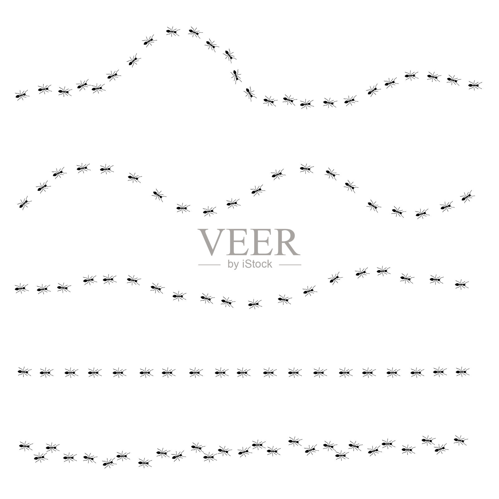 蚂蚁以五行行走插画图片素材