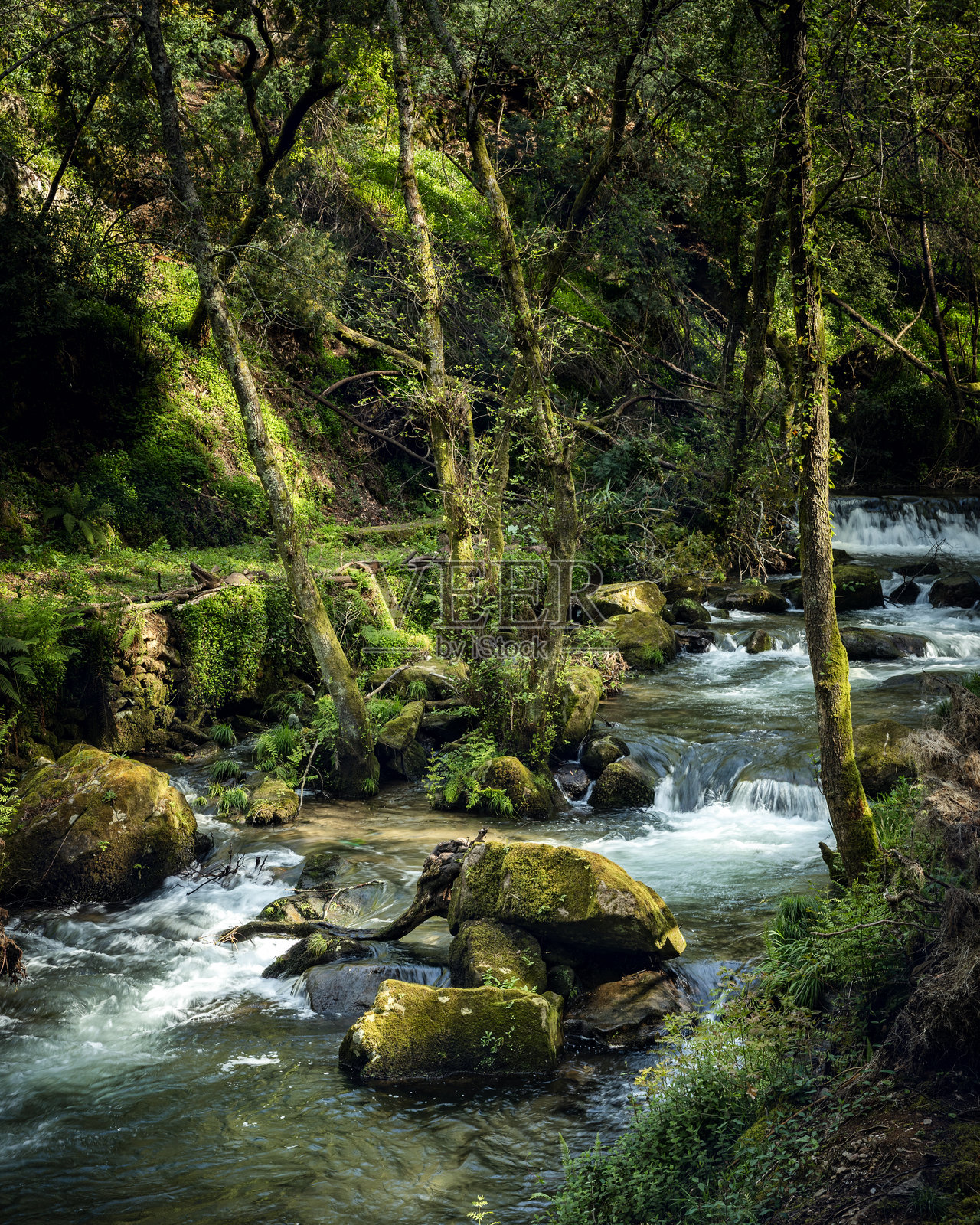 在平德洛步道旁的河流小溪照片摄影图片