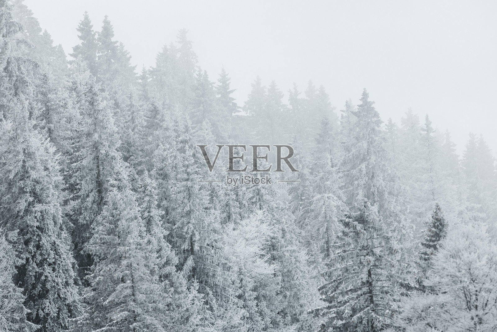 冬季魔法照片摄影图片