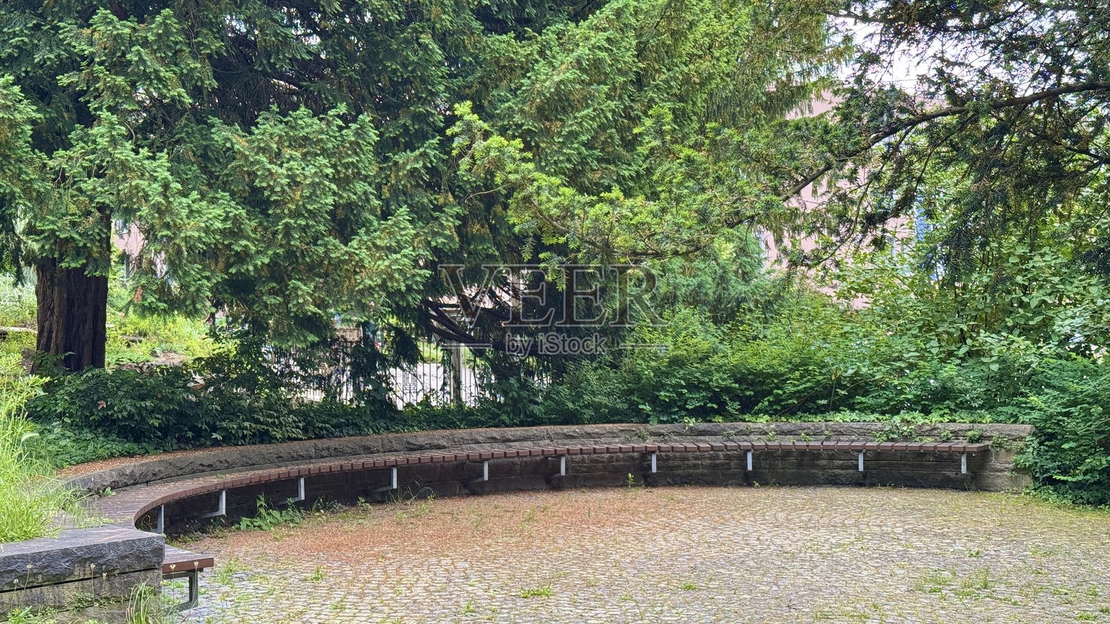 公园里的大圆形长椅照片摄影图片