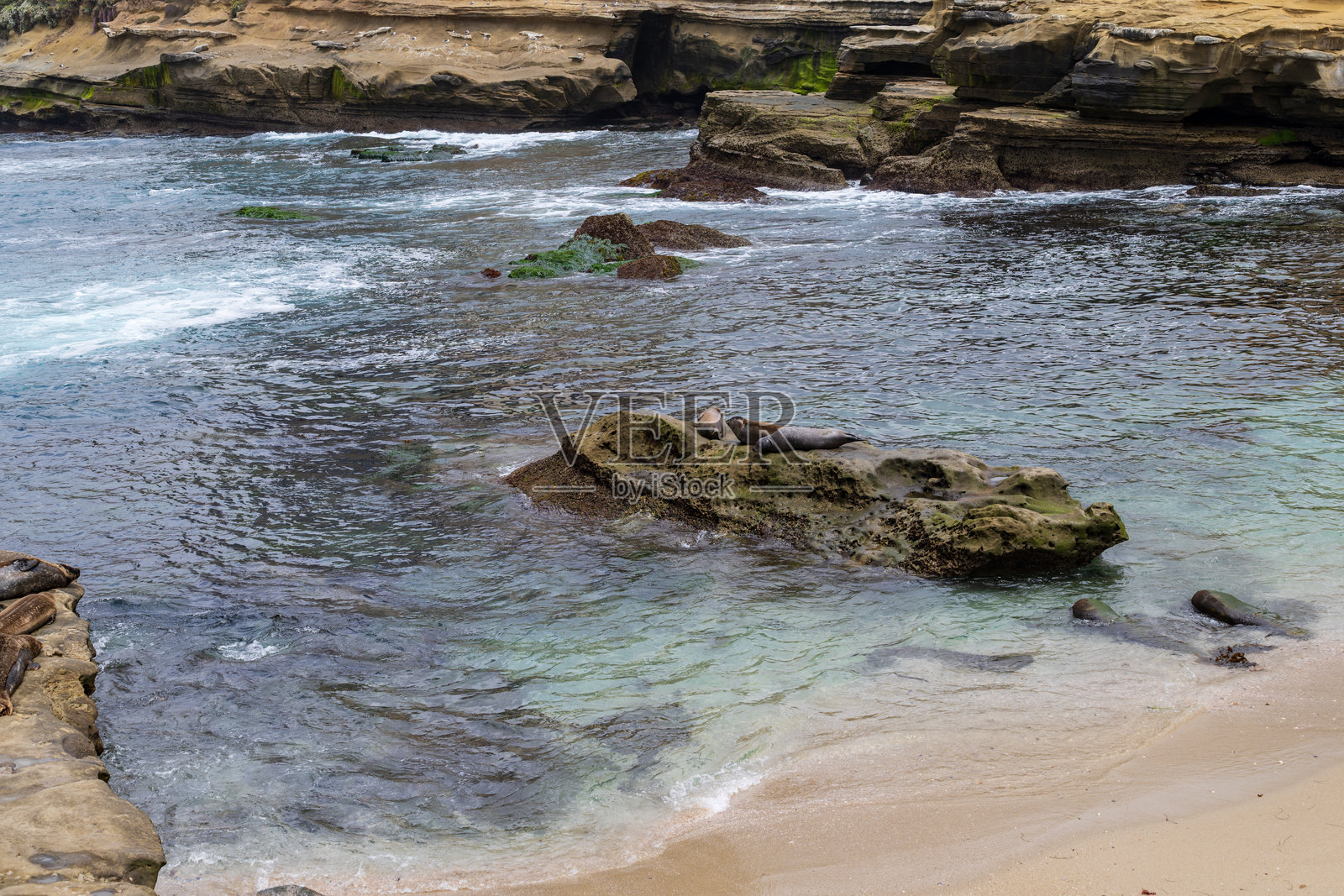 拉荷亚儿童泳池照片摄影图片