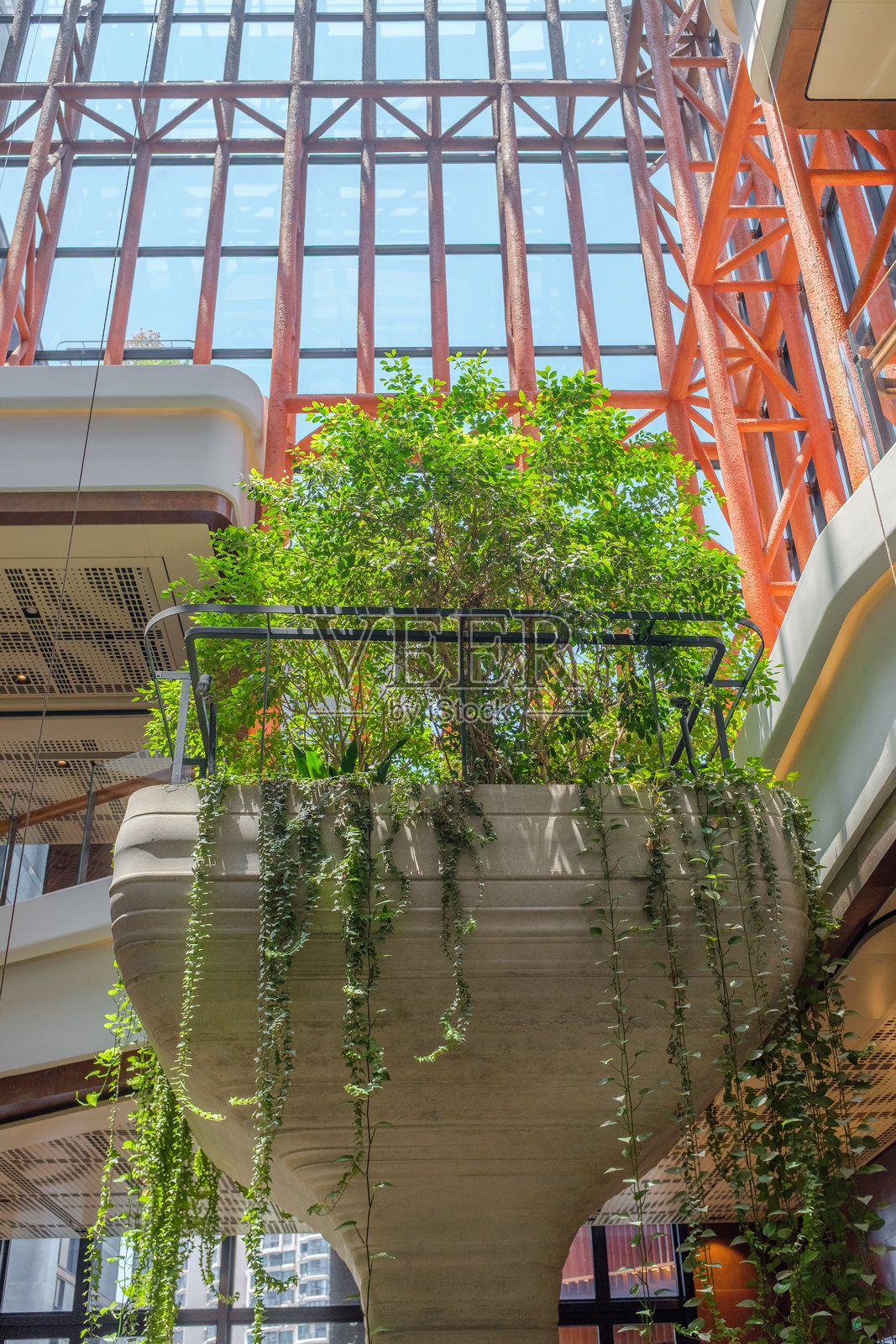 绿色室内垂直花园照片摄影图片