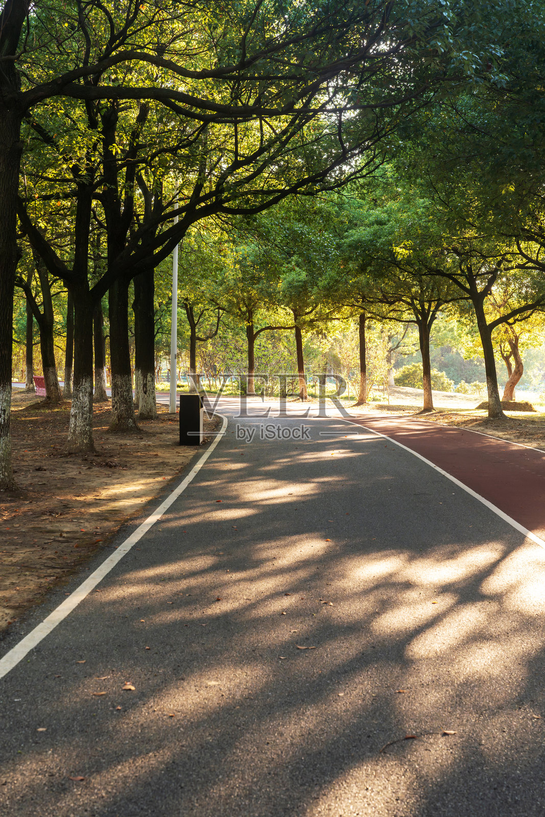 公园内新修的步道和美丽的树木,适合跑步、散步和骑行放松。照片摄影图片