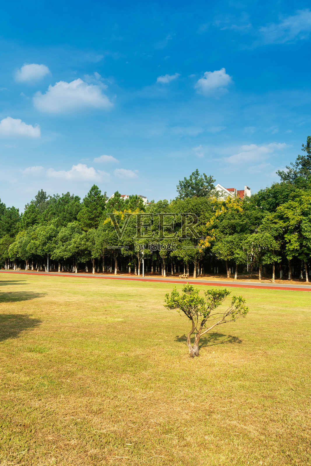 美丽的城市公园全景照片摄影图片