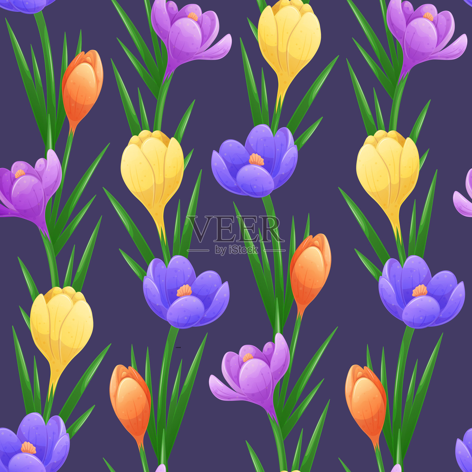 深色背景上的多彩番红花无缝图案。自然与春天的概念。插画图片素材