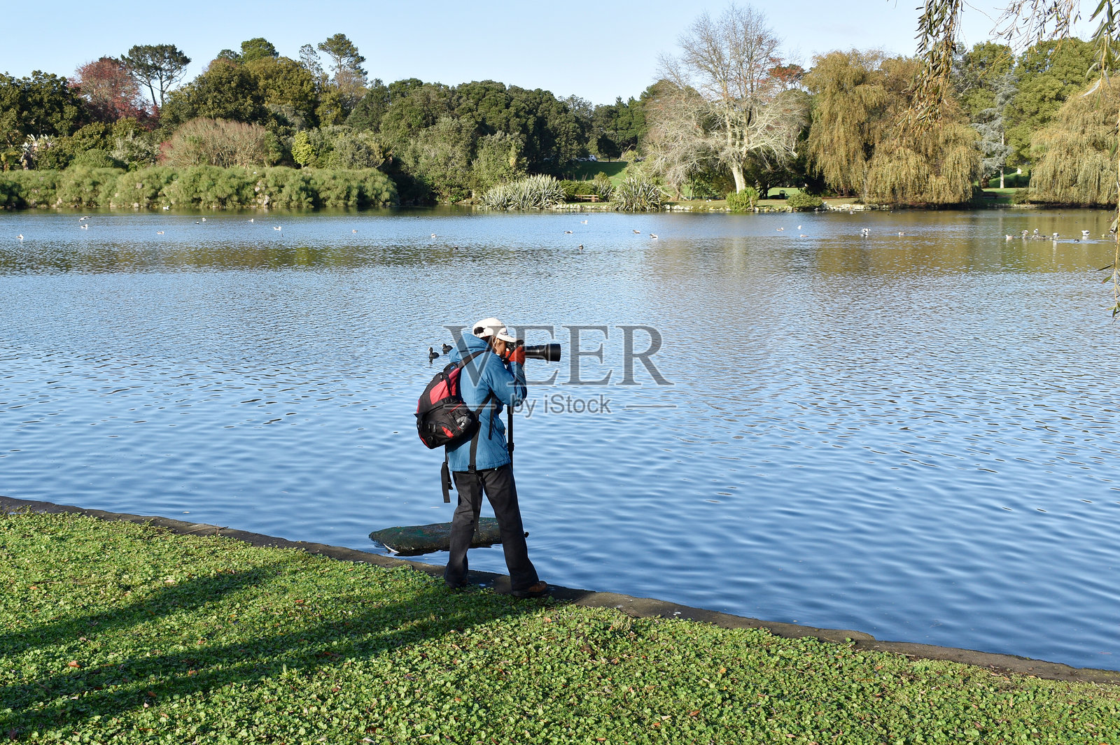 在奥克兰的西方泉公园拍照的摄影师。照片摄影图片