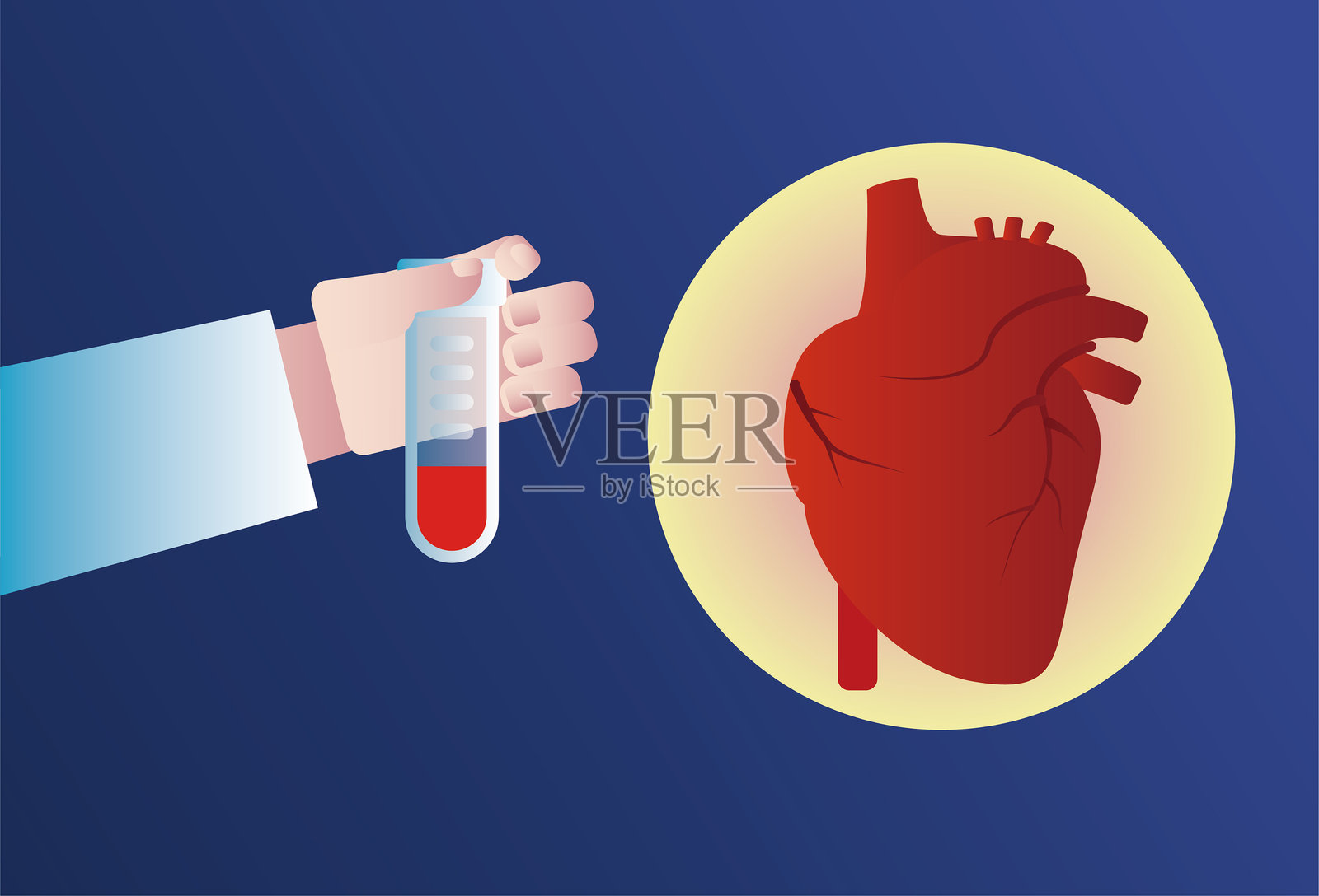 医生手持试管和心脏,抽取血液进行检测以检查心脏状况。插画图片素材