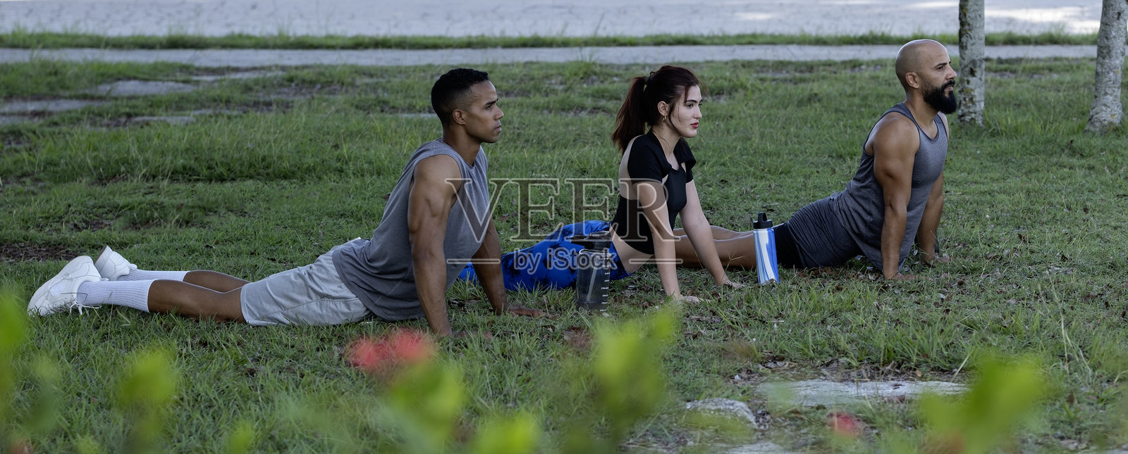 运动员在公园草地上做眼镜蛇式瑜伽姿势照片摄影图片