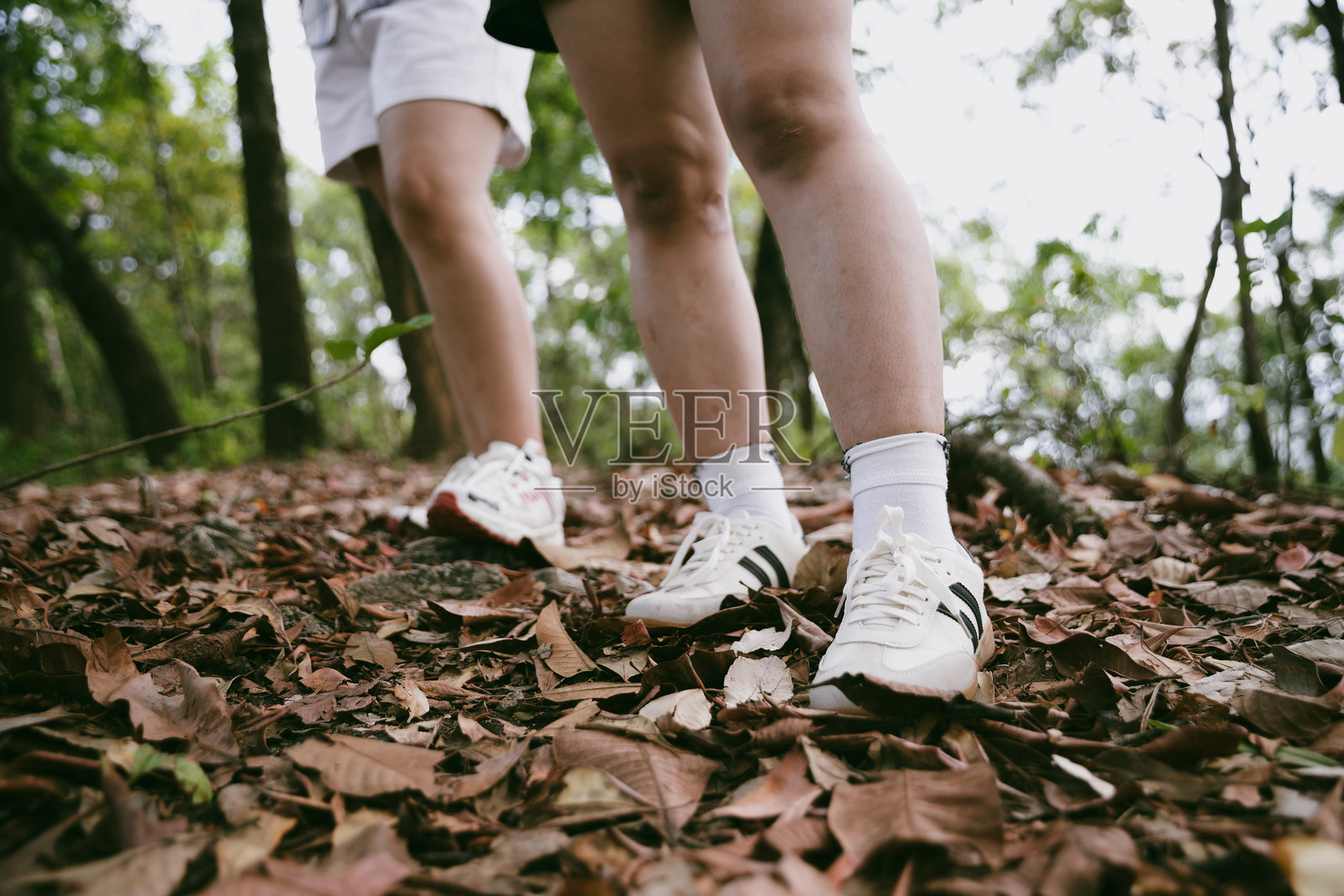 在山间草地小径上徒步旅行的动作。女性登山者鞋子的特写。探险者的生活方式,背包旅行和徒步登山,享受每一次步行和徒步旅行的刺激旅程。照片摄影图片
